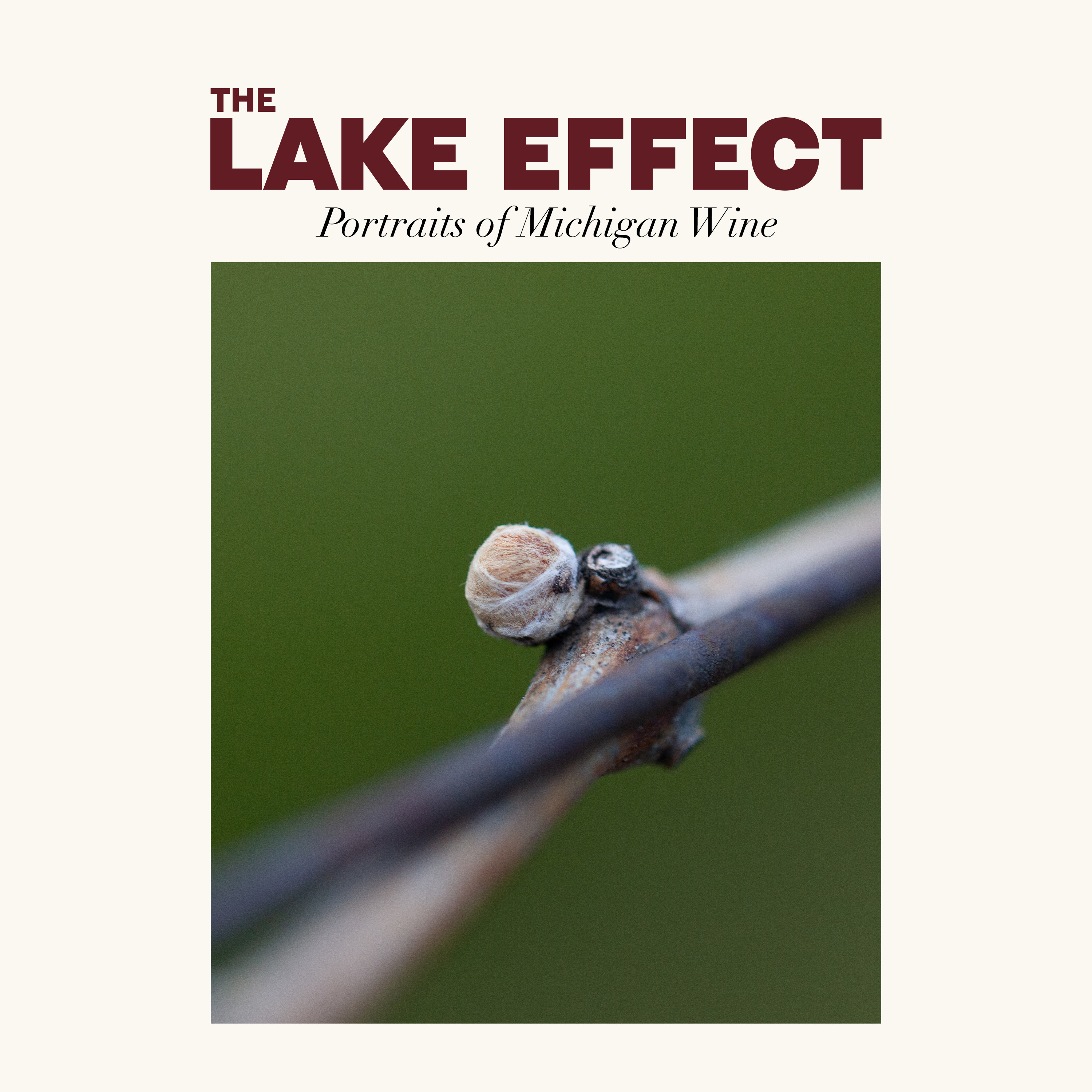 The Lake Effect | Portraits of Michigan Wine