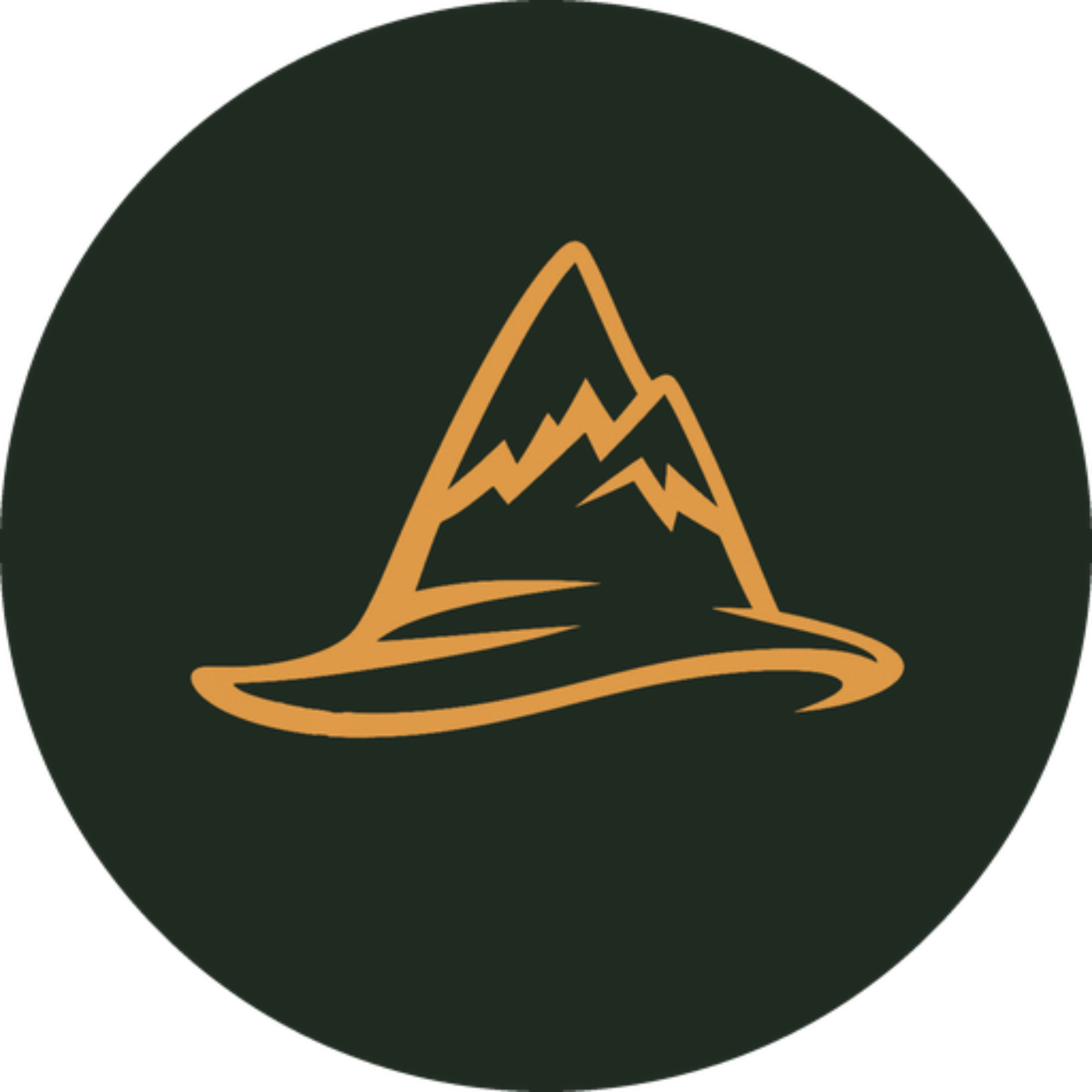 Montana Wizard