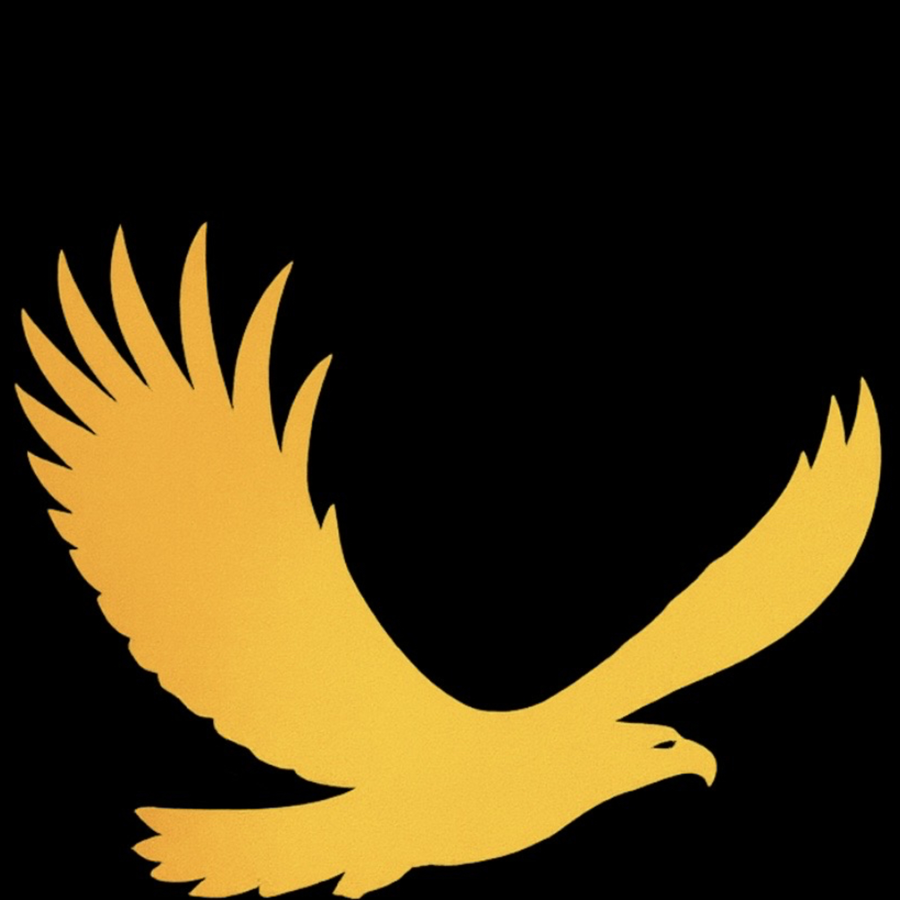 Soar Apostolic