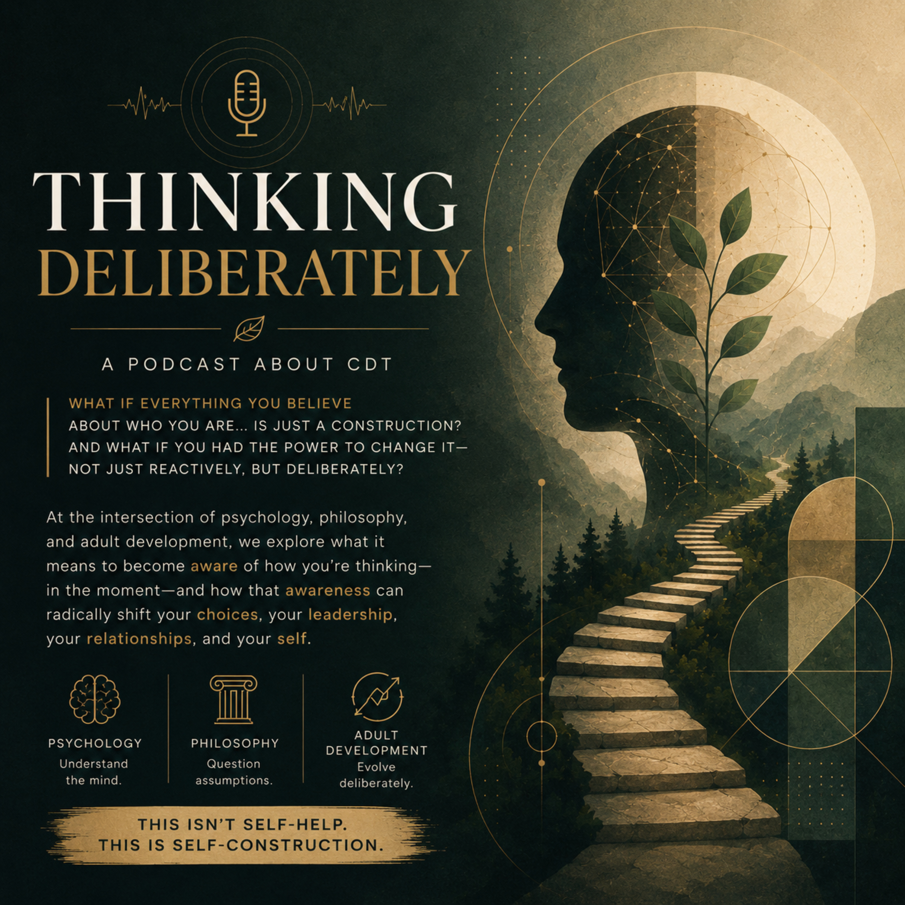 Thinking Deliberately - because we don't! podcast artwork