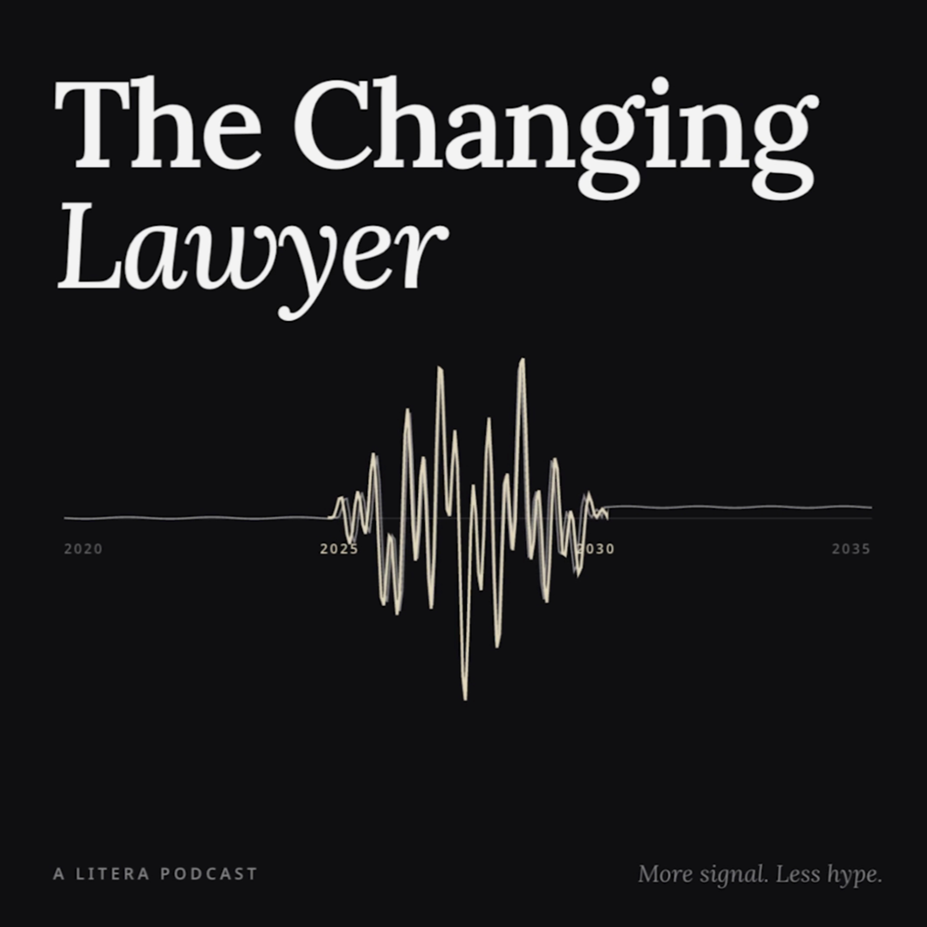 The Changing Lawyer
