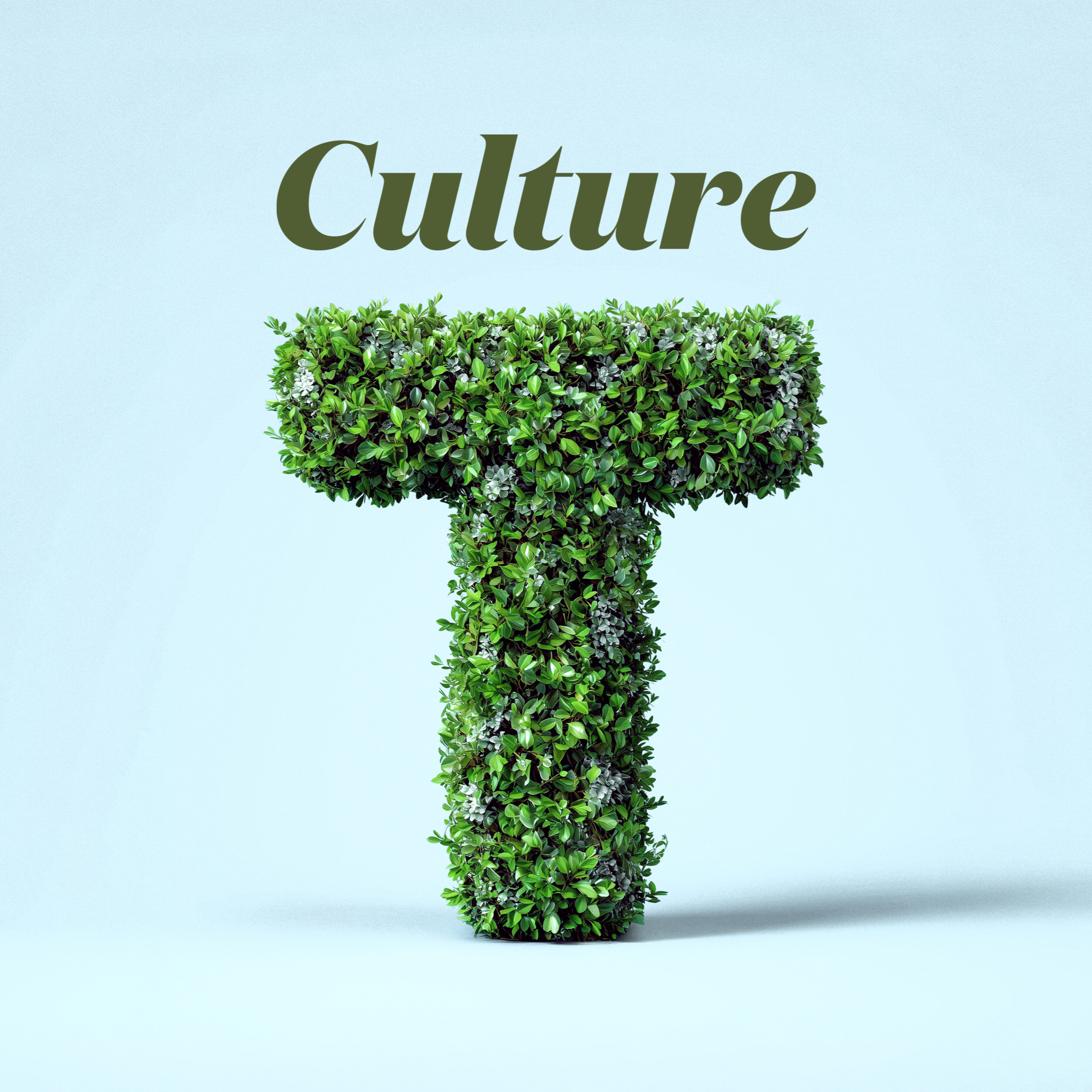 Culture T