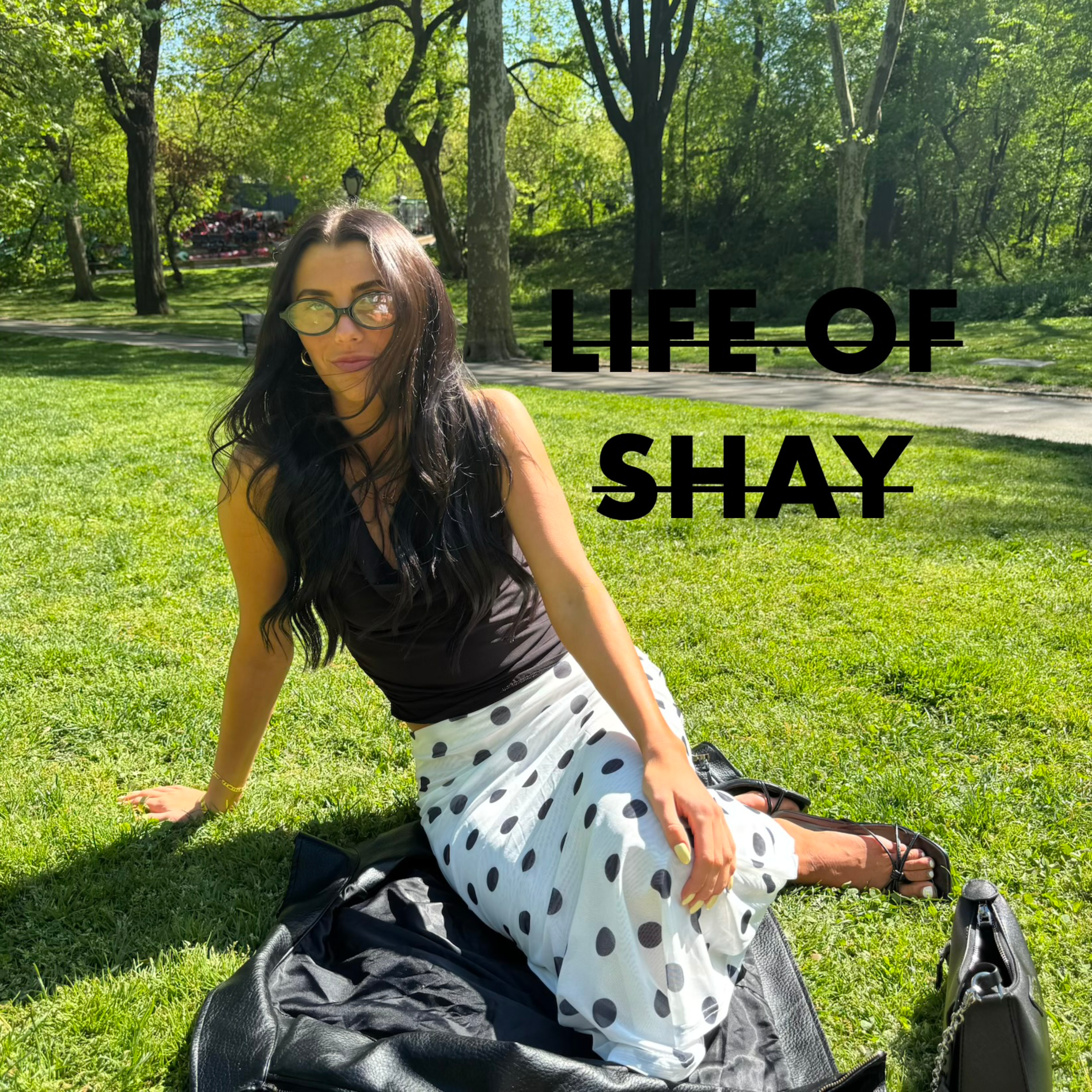 Life of Shay