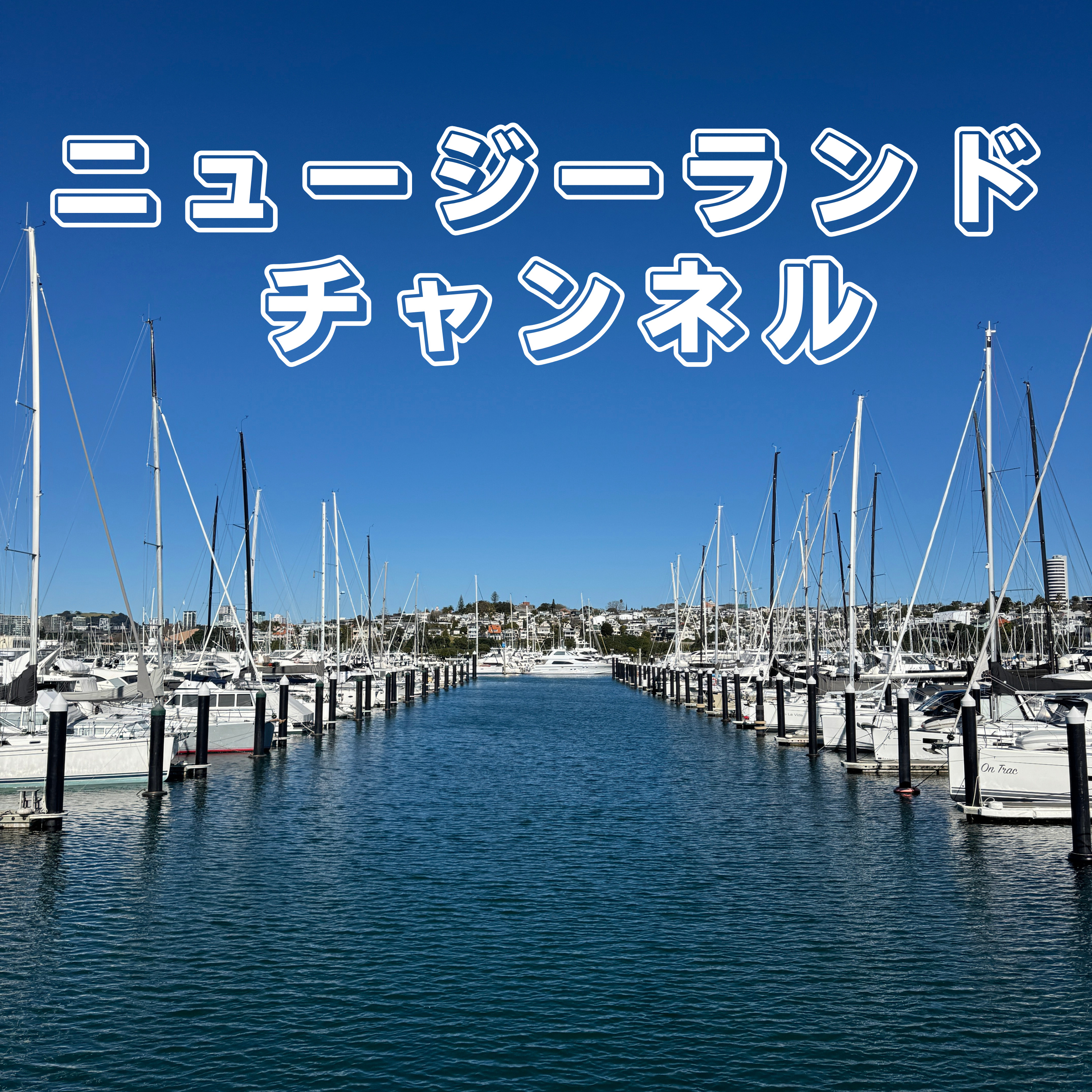 ニュージーランド チャンネル | 公園ビーチから届けるNZの風景