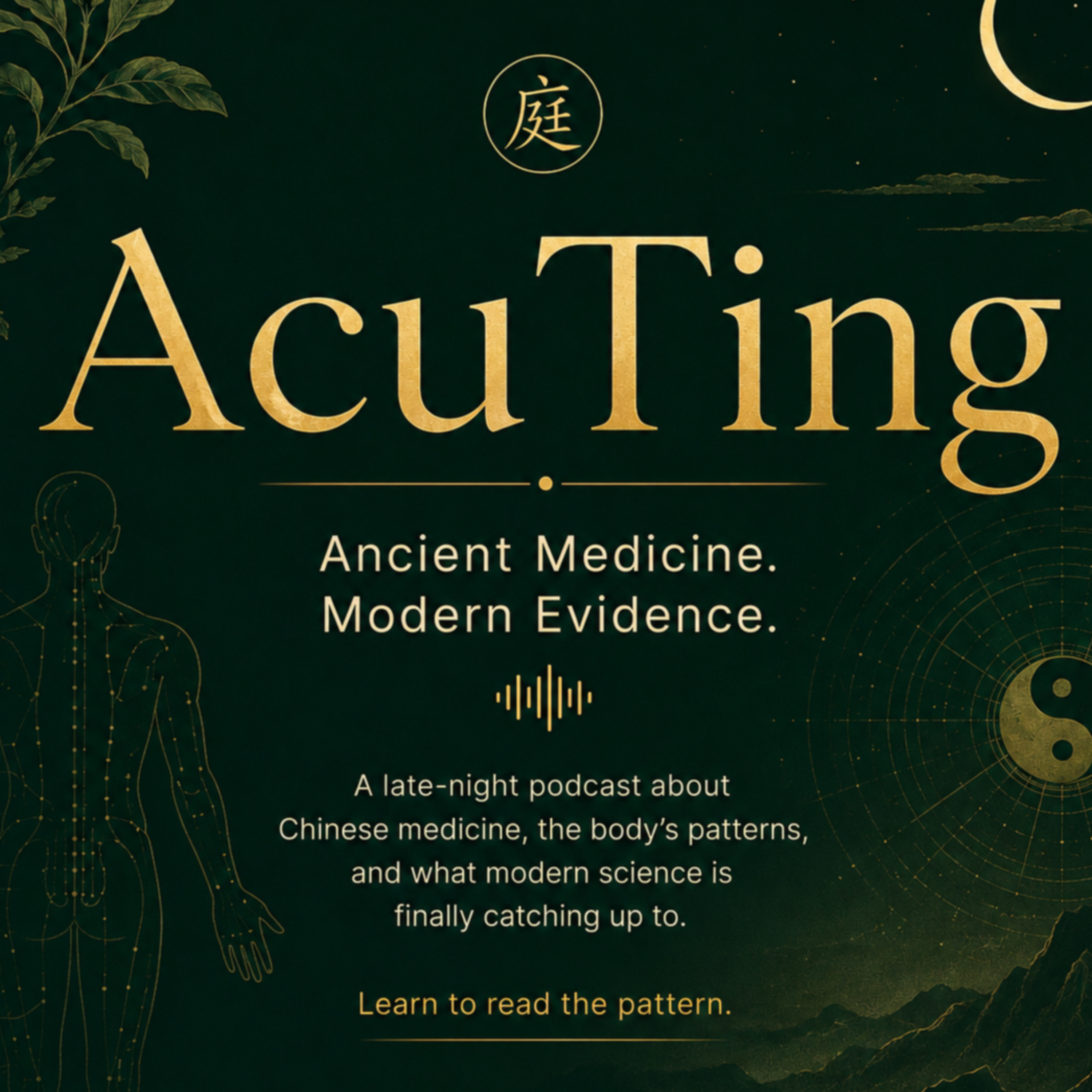 AcuTing | Ancient Medicine. Modern Evidence.