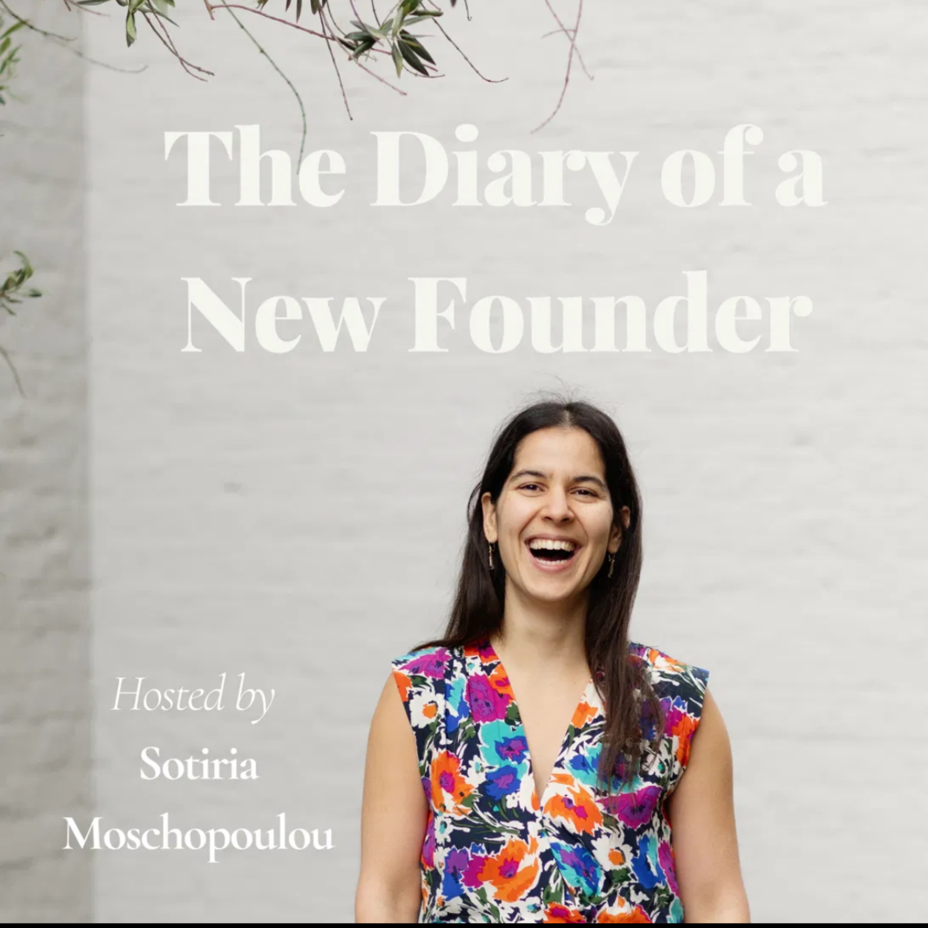 The Diary of a New Founder