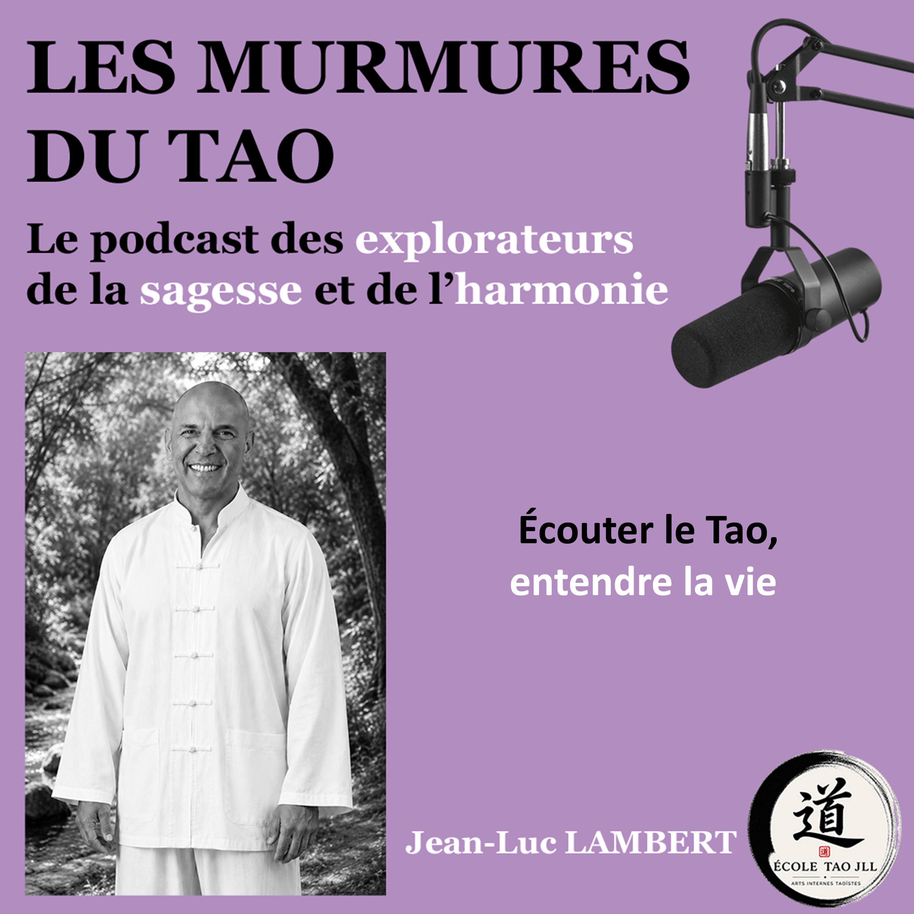 Logo of the podcast Les murmures du Tao Podcast Les murmures du Tao