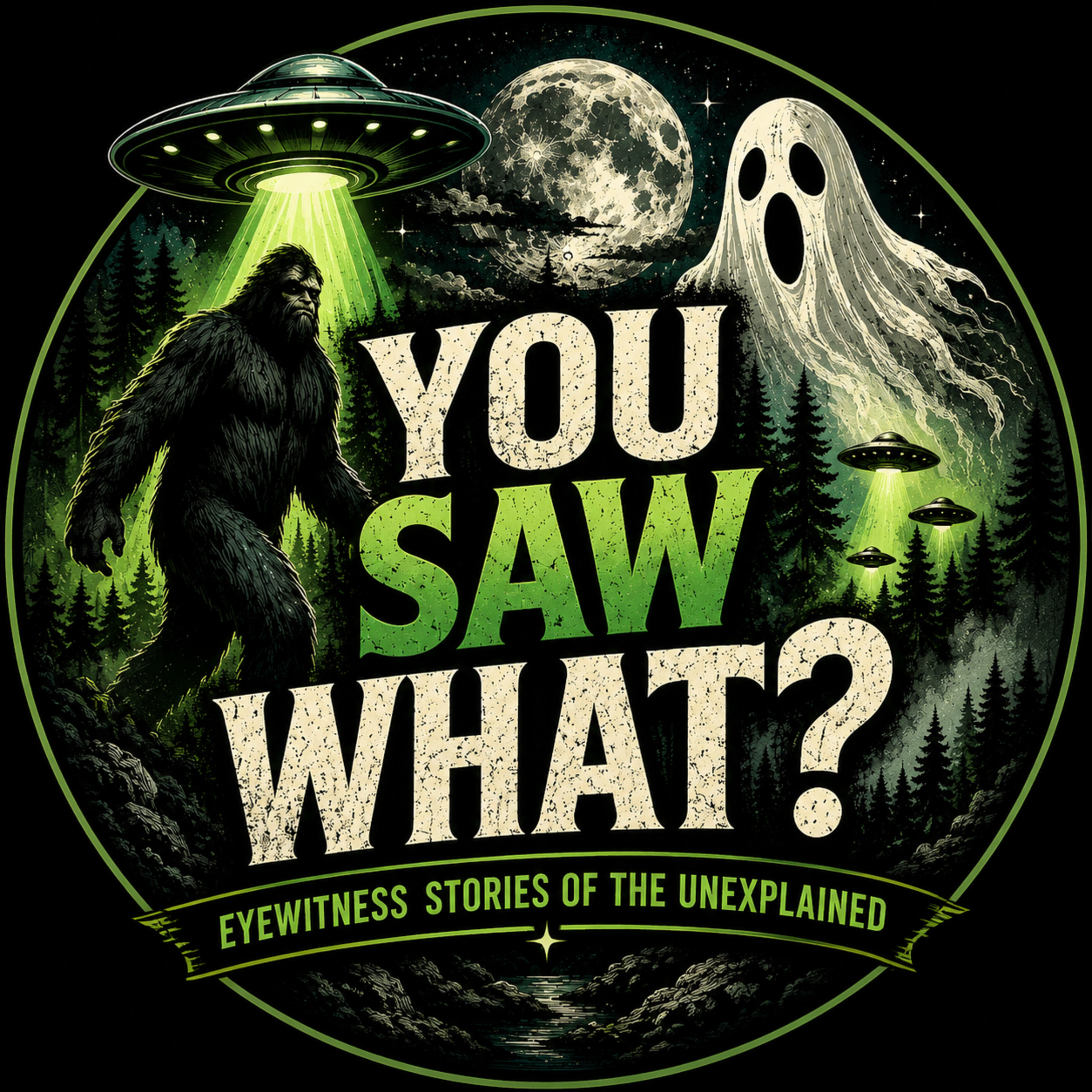 You Saw What? Eyewitness Stories of the Unexplained
