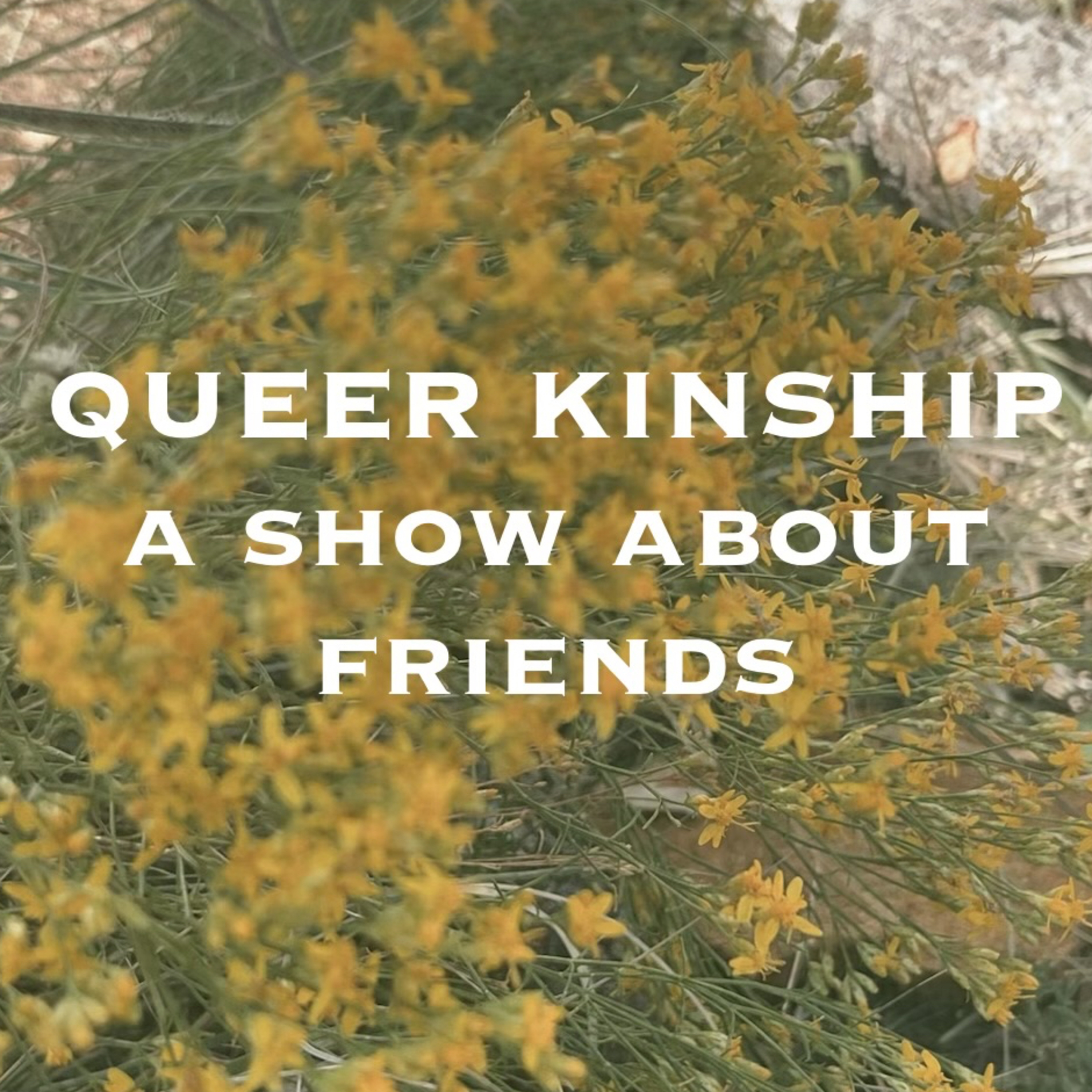 Queer Kinship : a show about friends