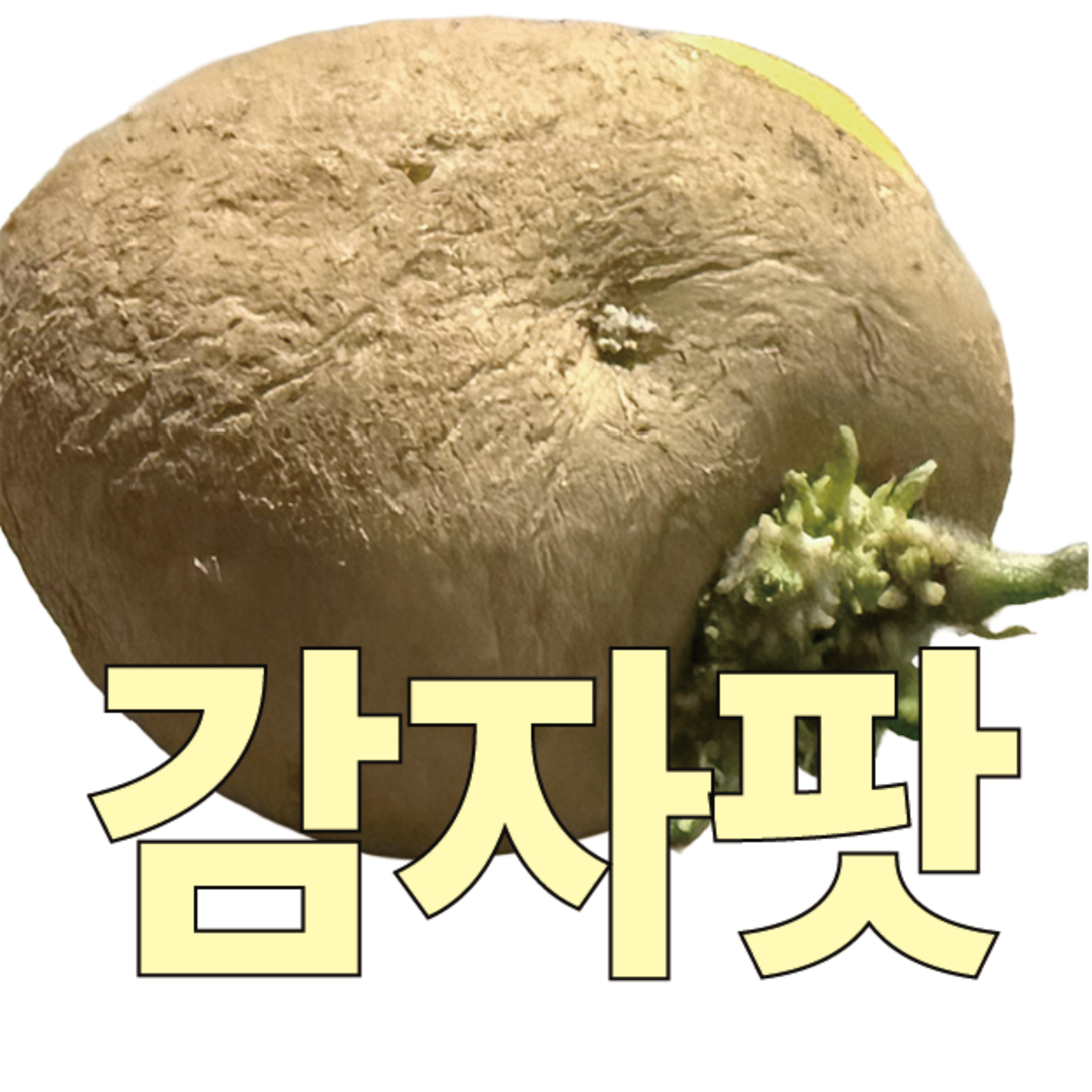 감자팟