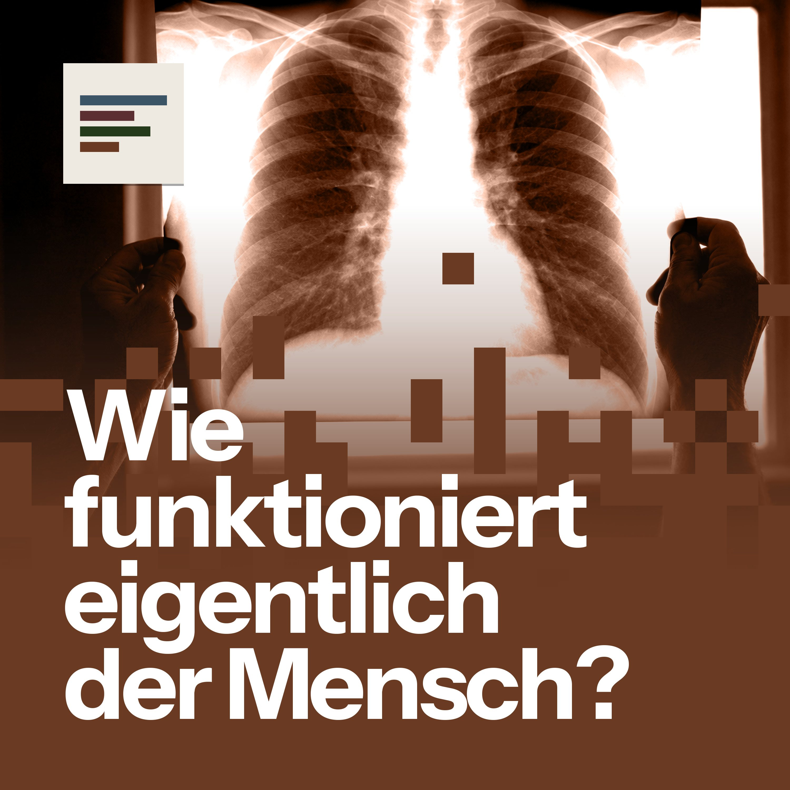 Wie funktioniert eigentlich der Mensch?