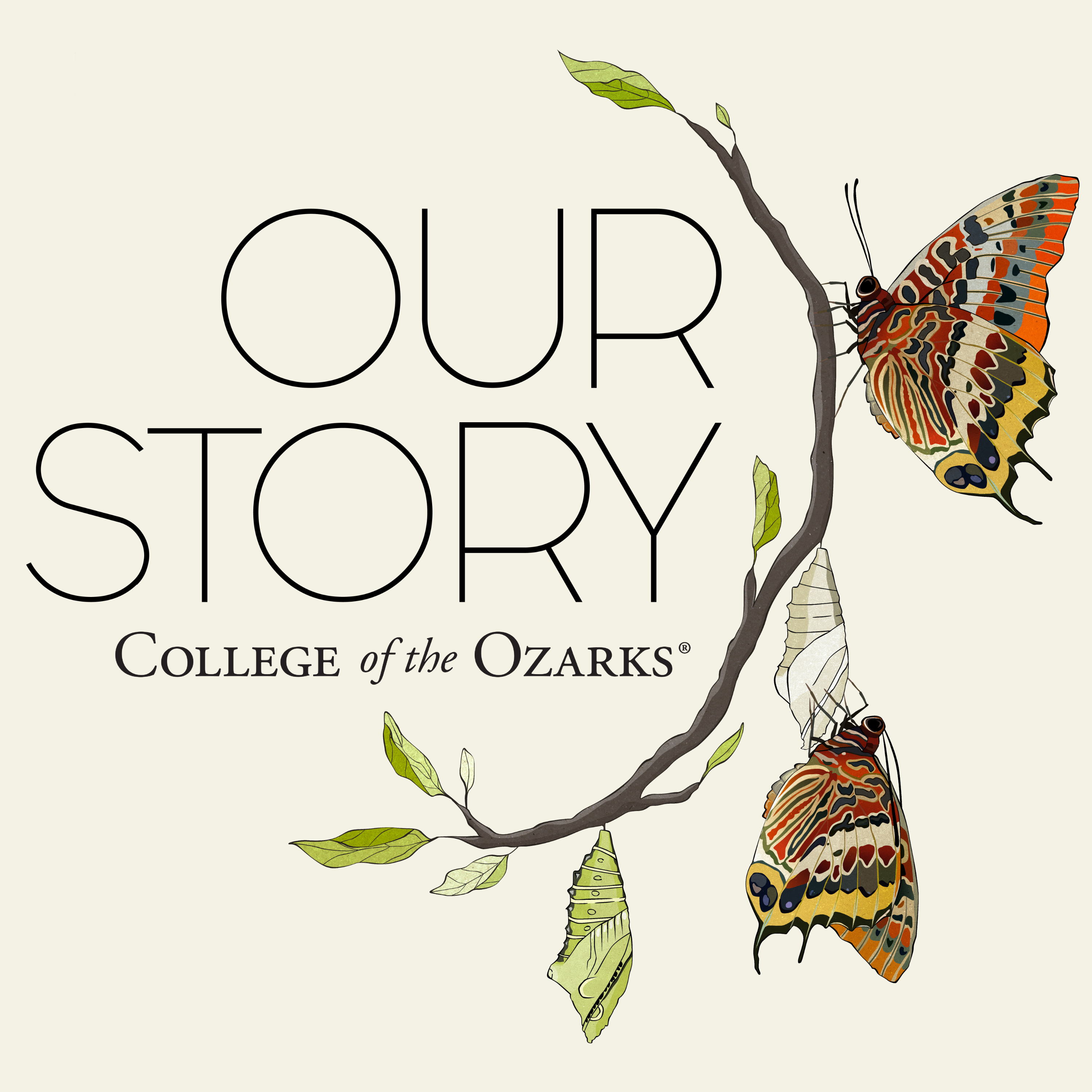 Our Story
