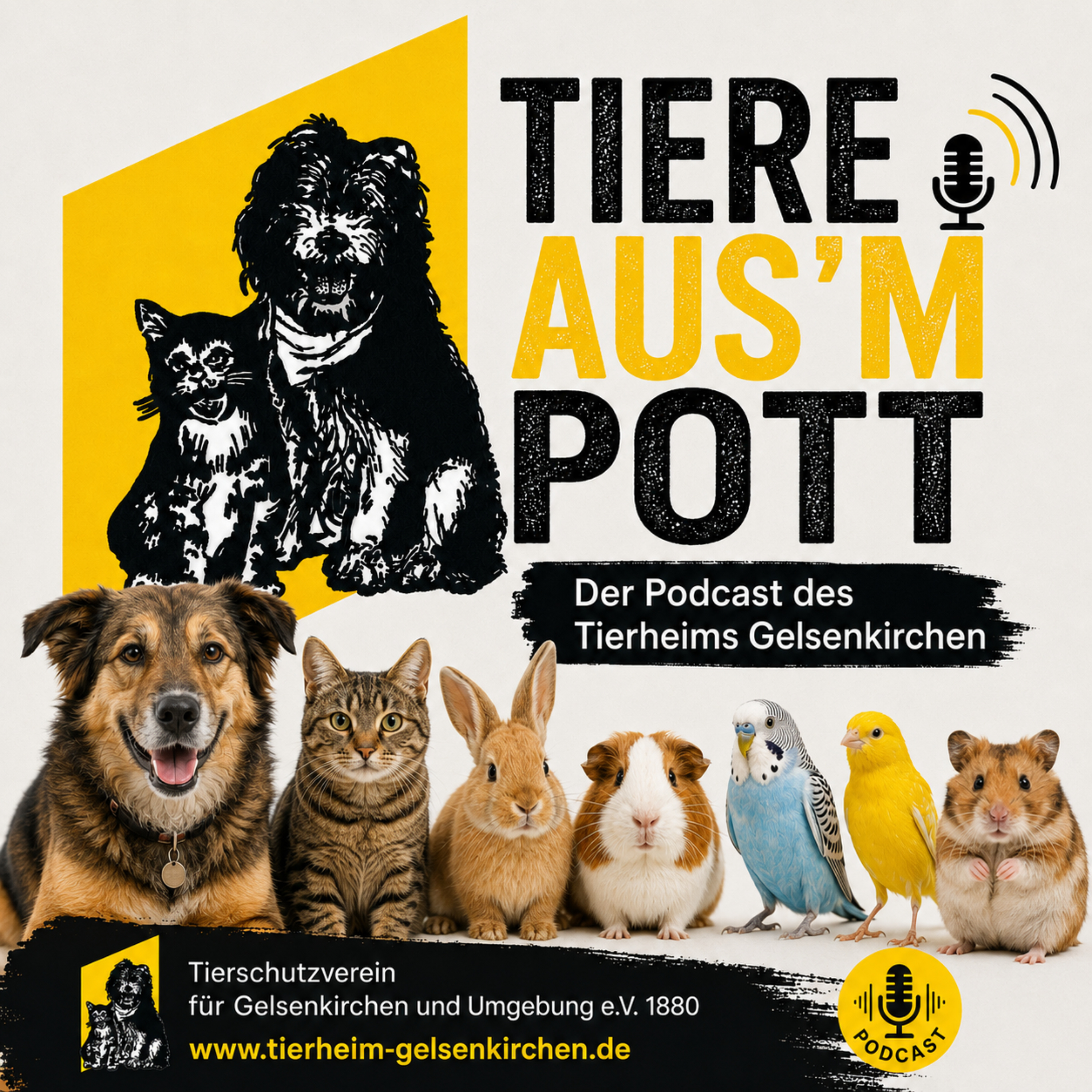 Tiere aus´m Pott - Der Podcast des Tierheims Gelsenkirchen podcast artwork