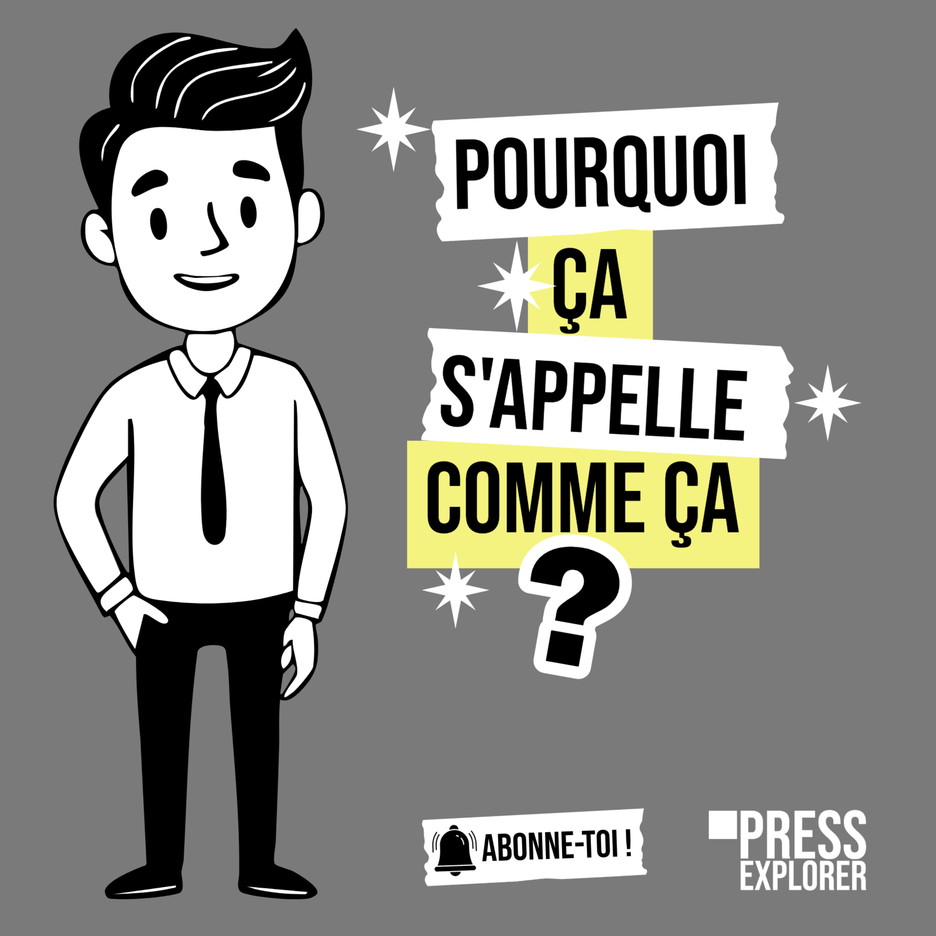 Pourquoi ça s'appelle comme ça ? (histoires de mots) podcast artwork