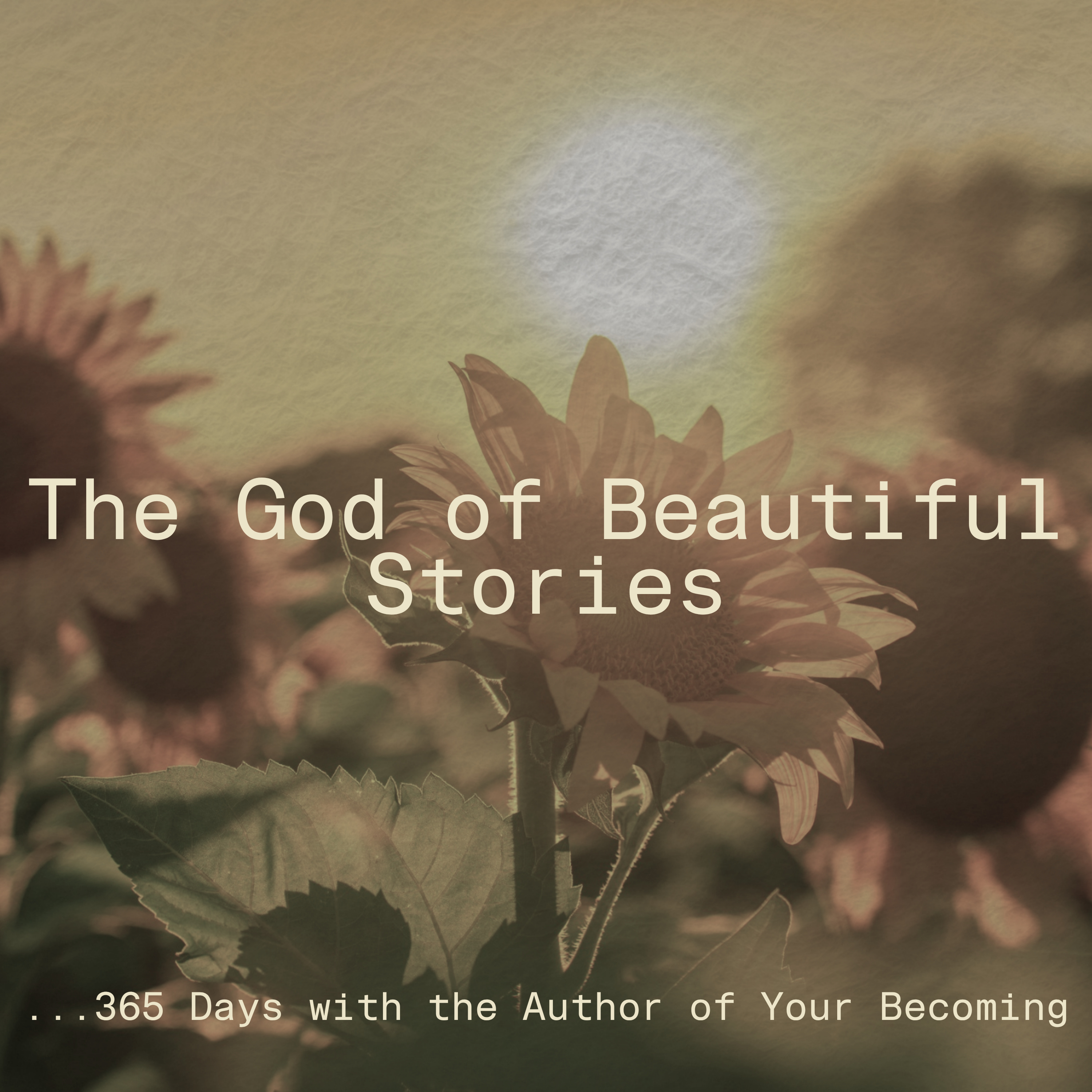 The God of Beautiful Stories: 365 Days with the Author of your Becoming podcast artwork