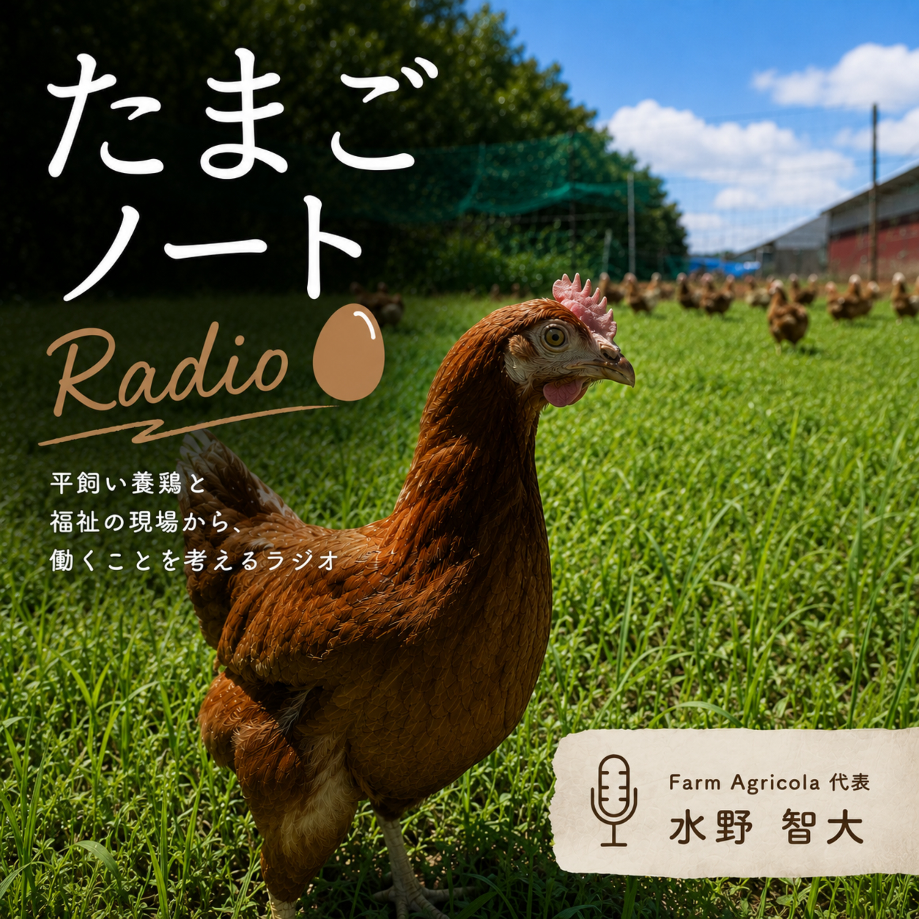 たまごノートRadio podcast artwork