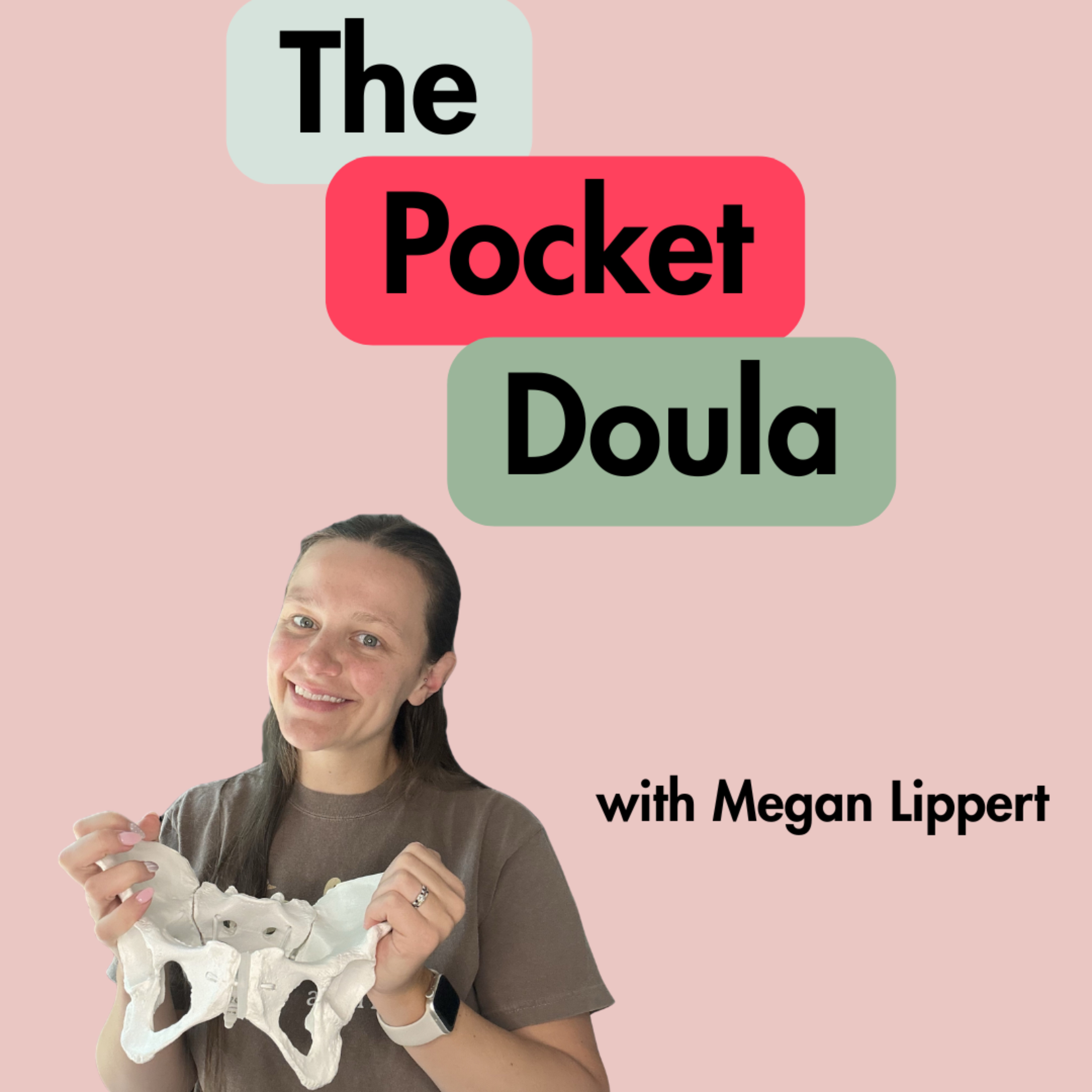 The Pocket Doula podcast artwork