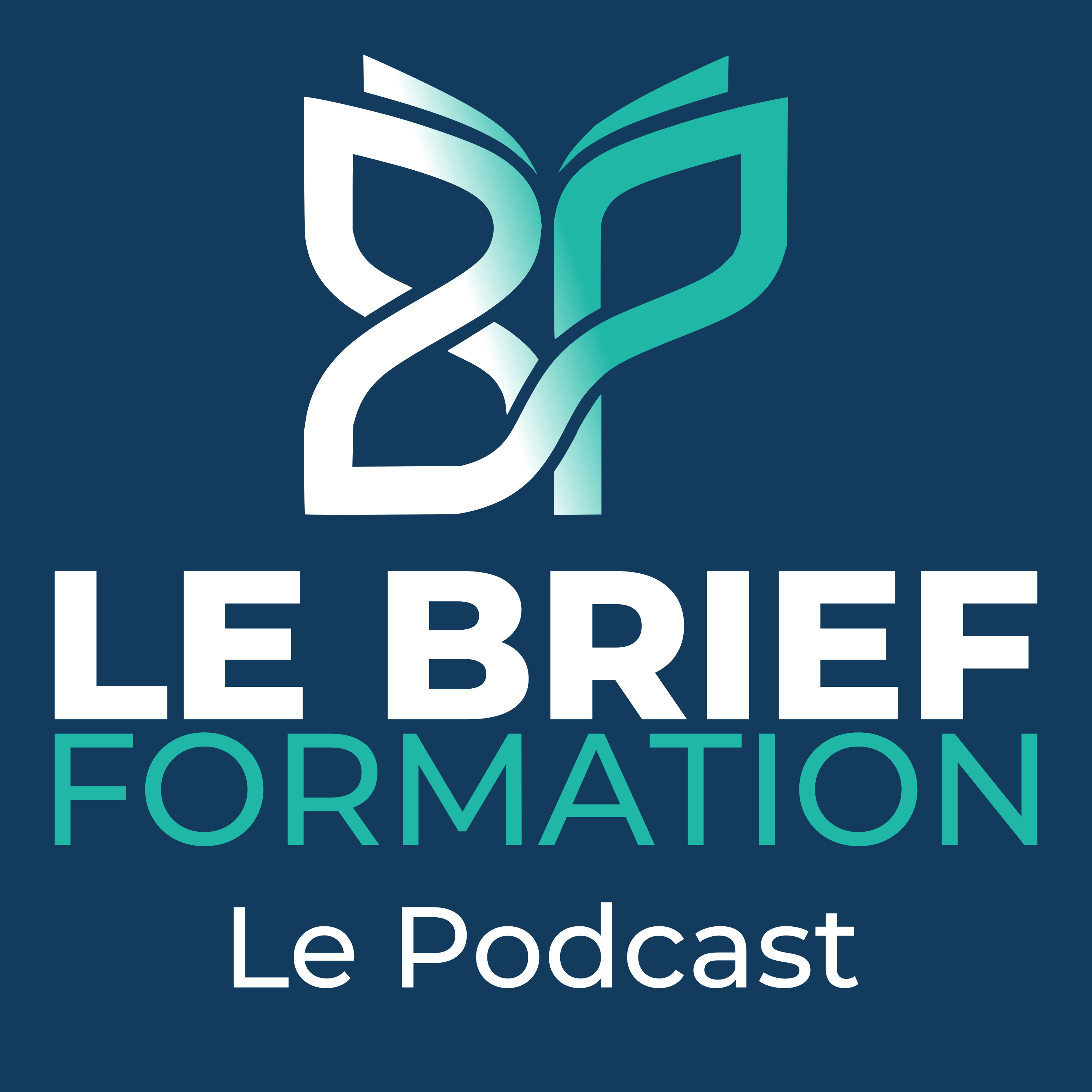 Le Brief Formation