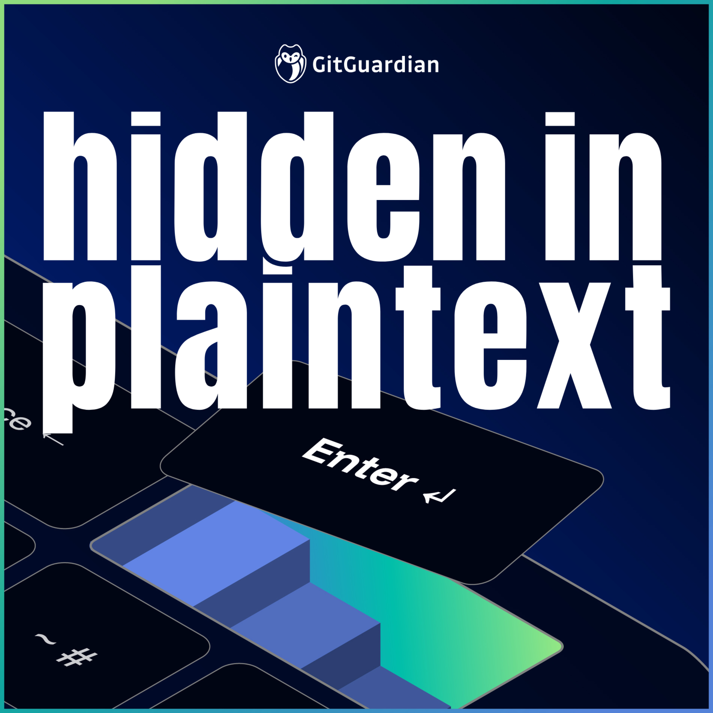 Hidden in Plaintext podcast artwork