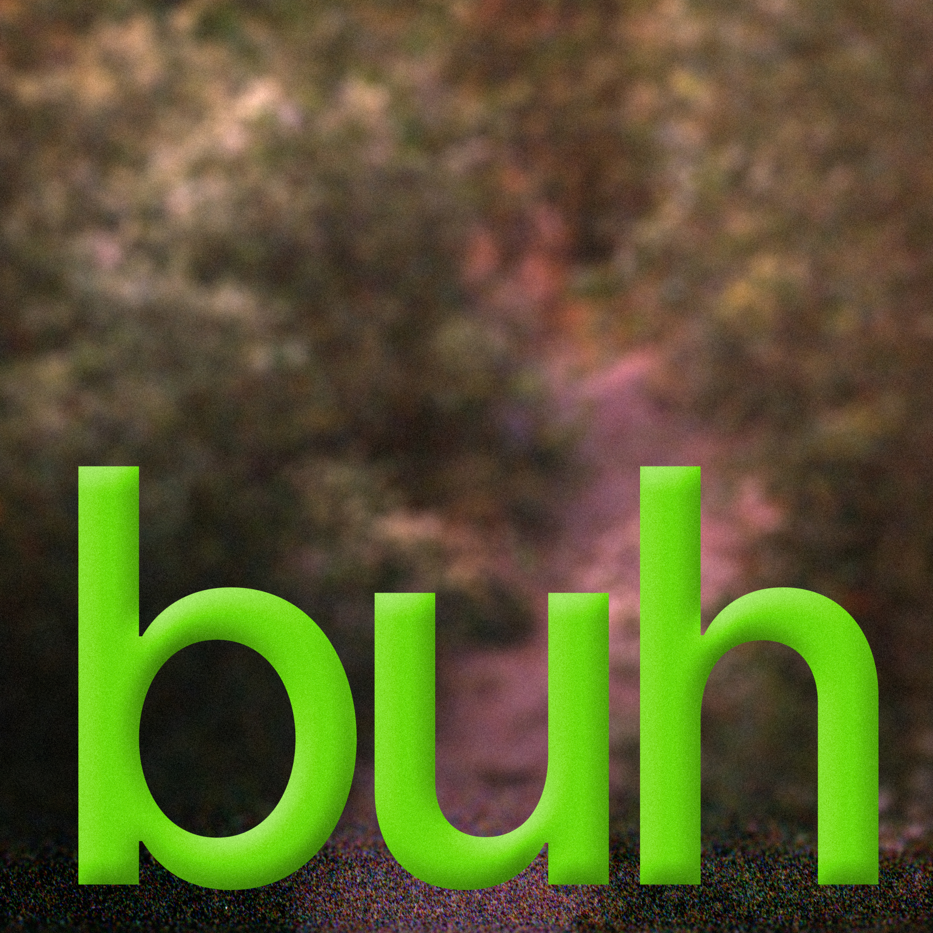 Buh