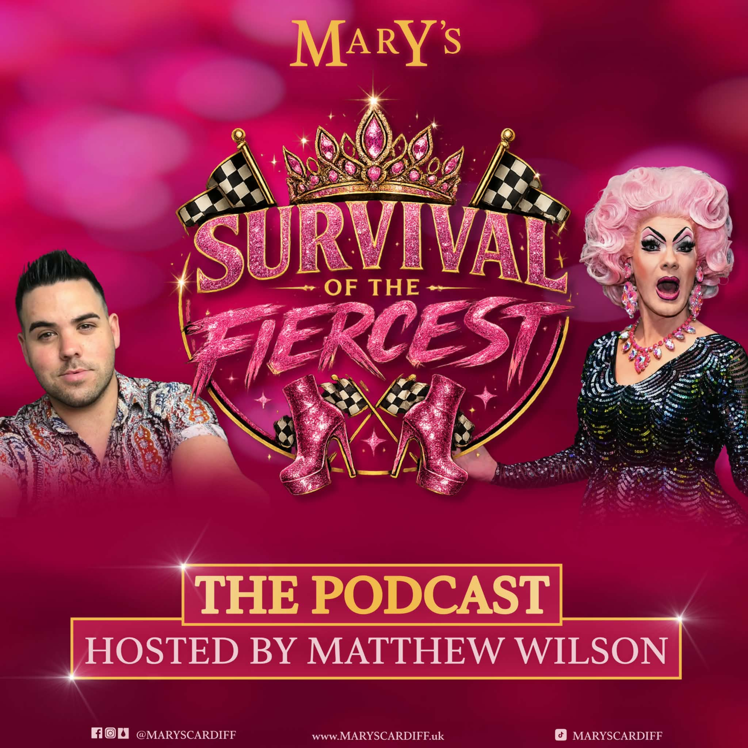 Logo of the podcast Survival Of The Fiercest With Miss Kitty Podcast Survival Of The Fiercest With Miss Kitty