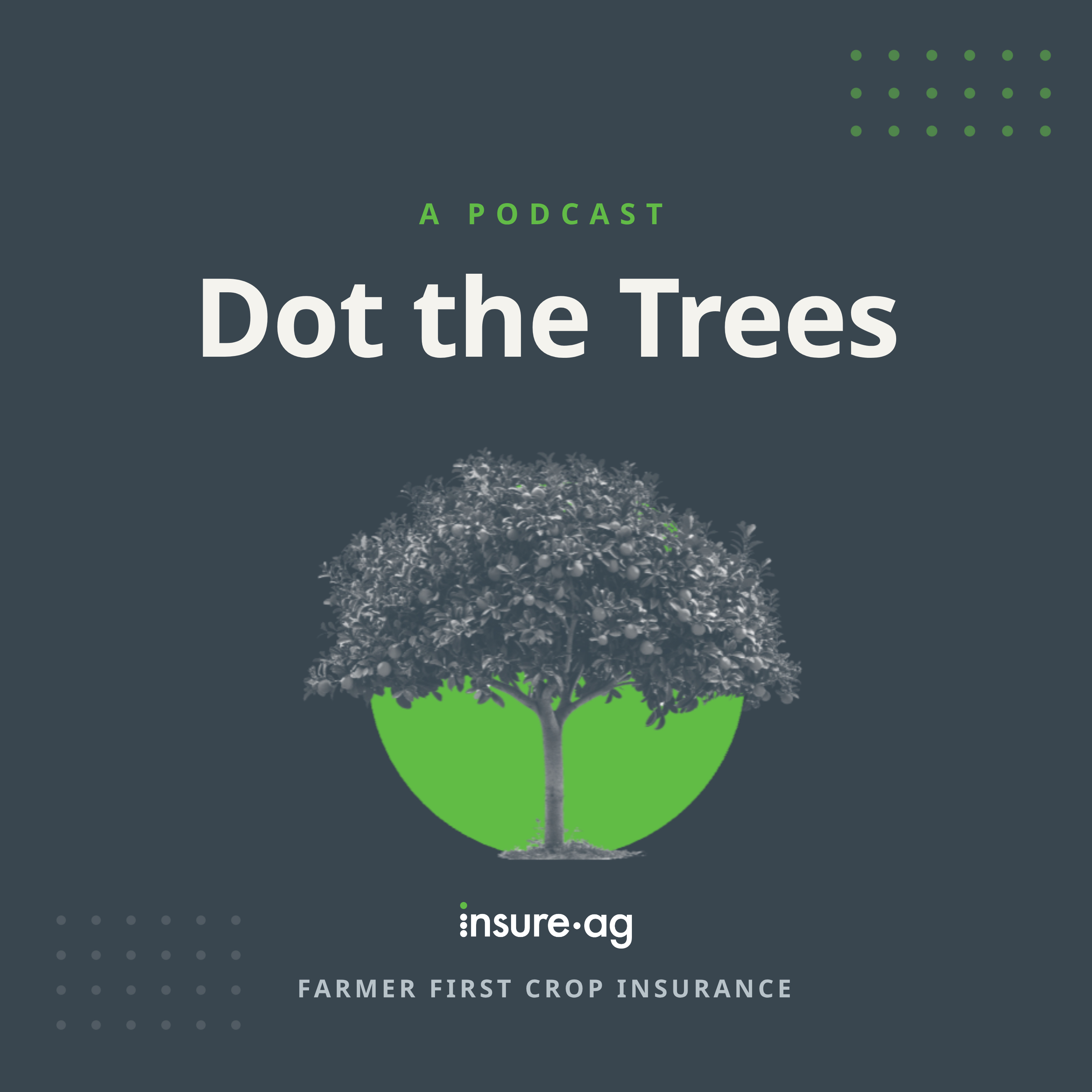 Dot the Trees podcast artwork