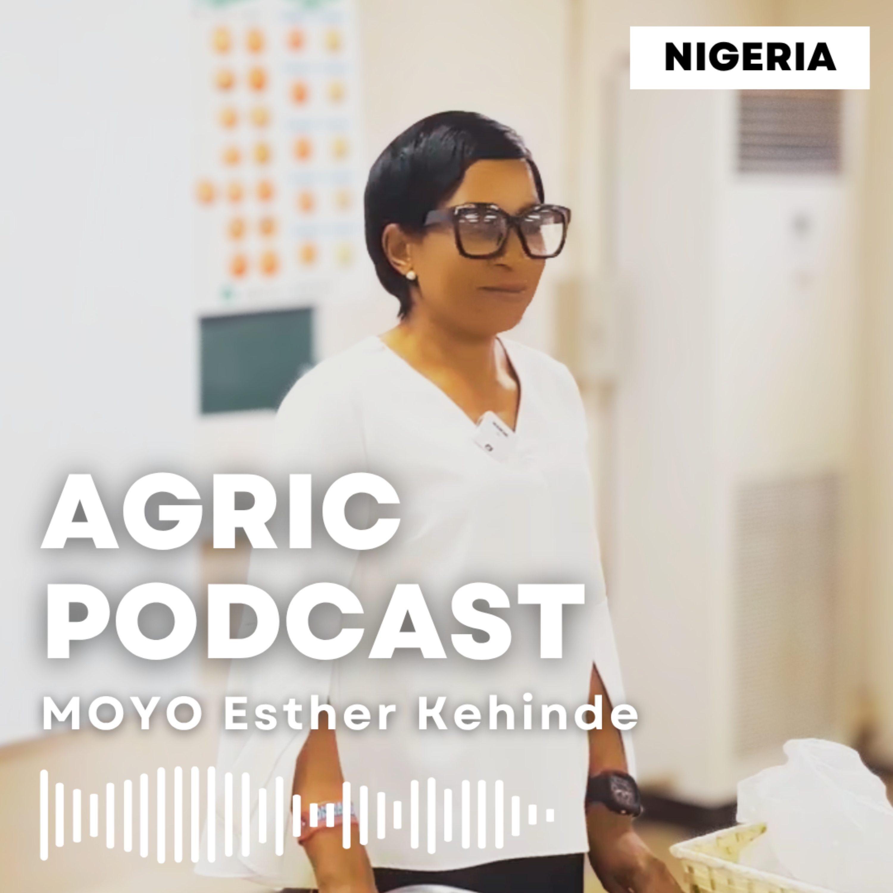 Moyo Agric Podcast