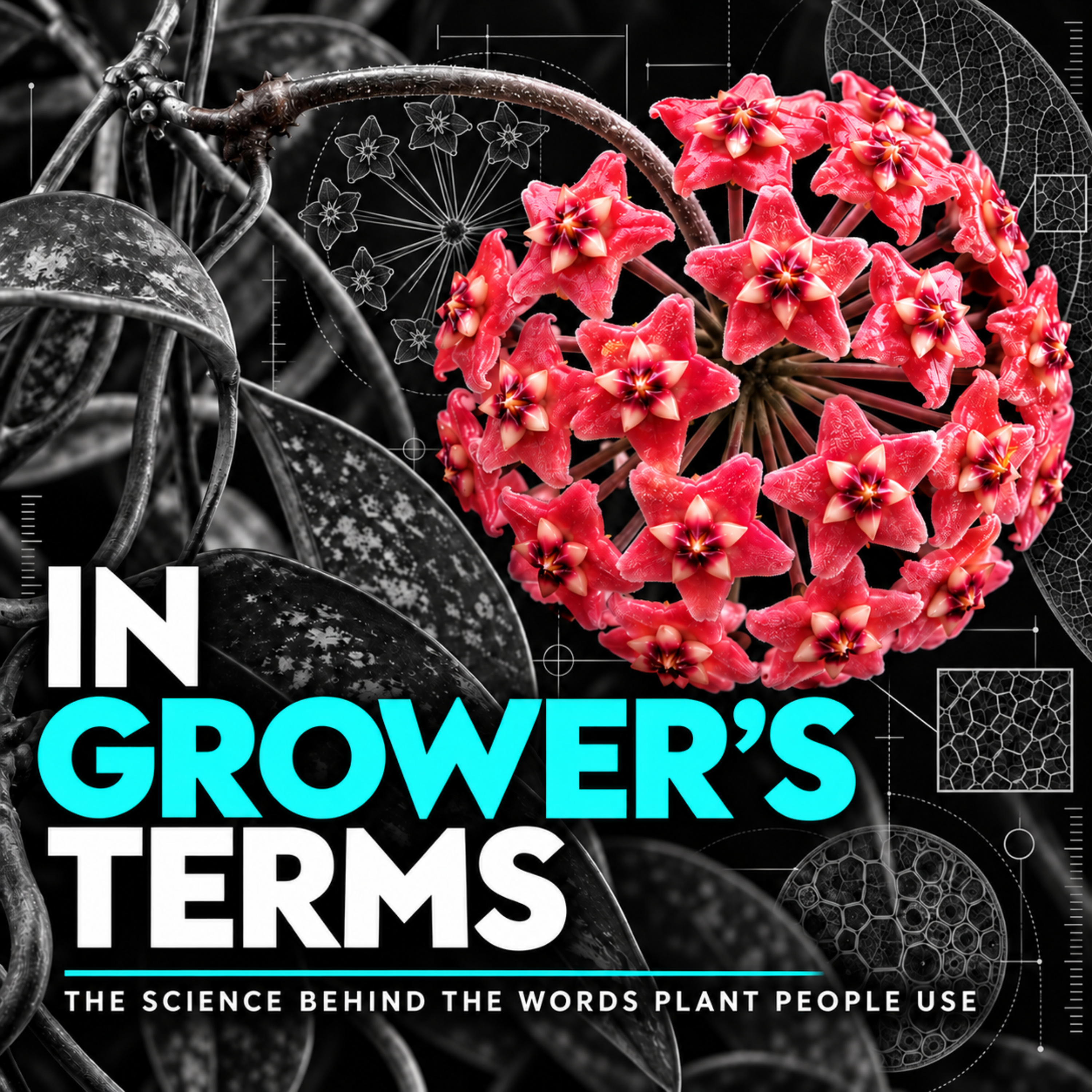 In Grower's Terms podcast artwork