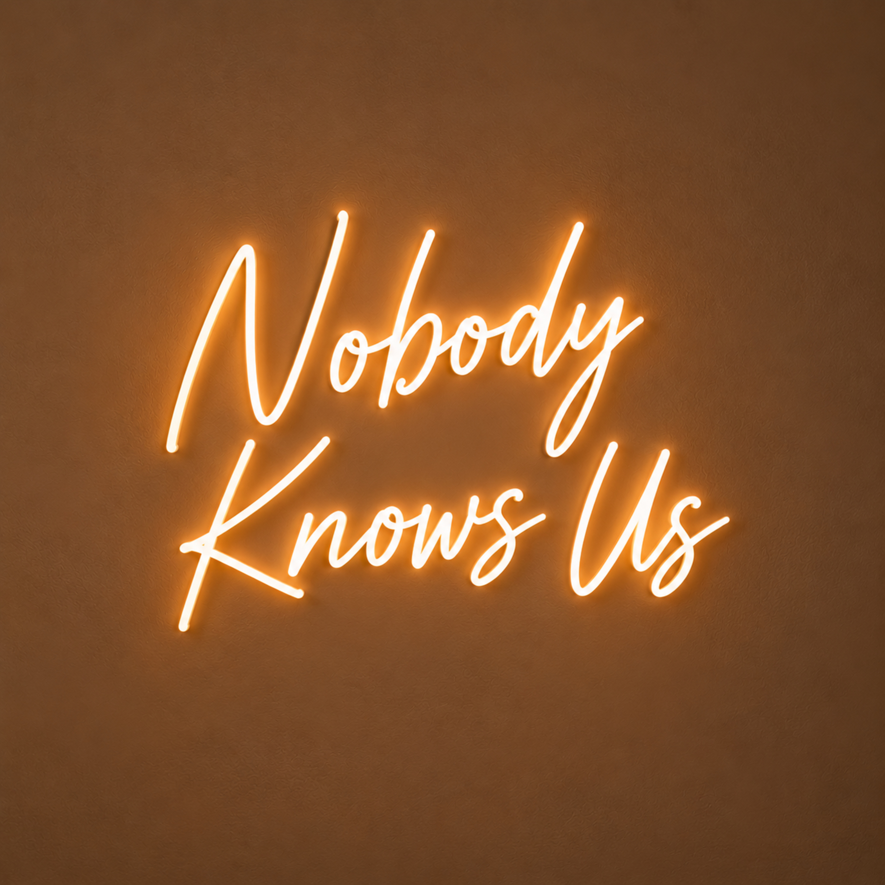 Nobody Knows Us podcast artwork