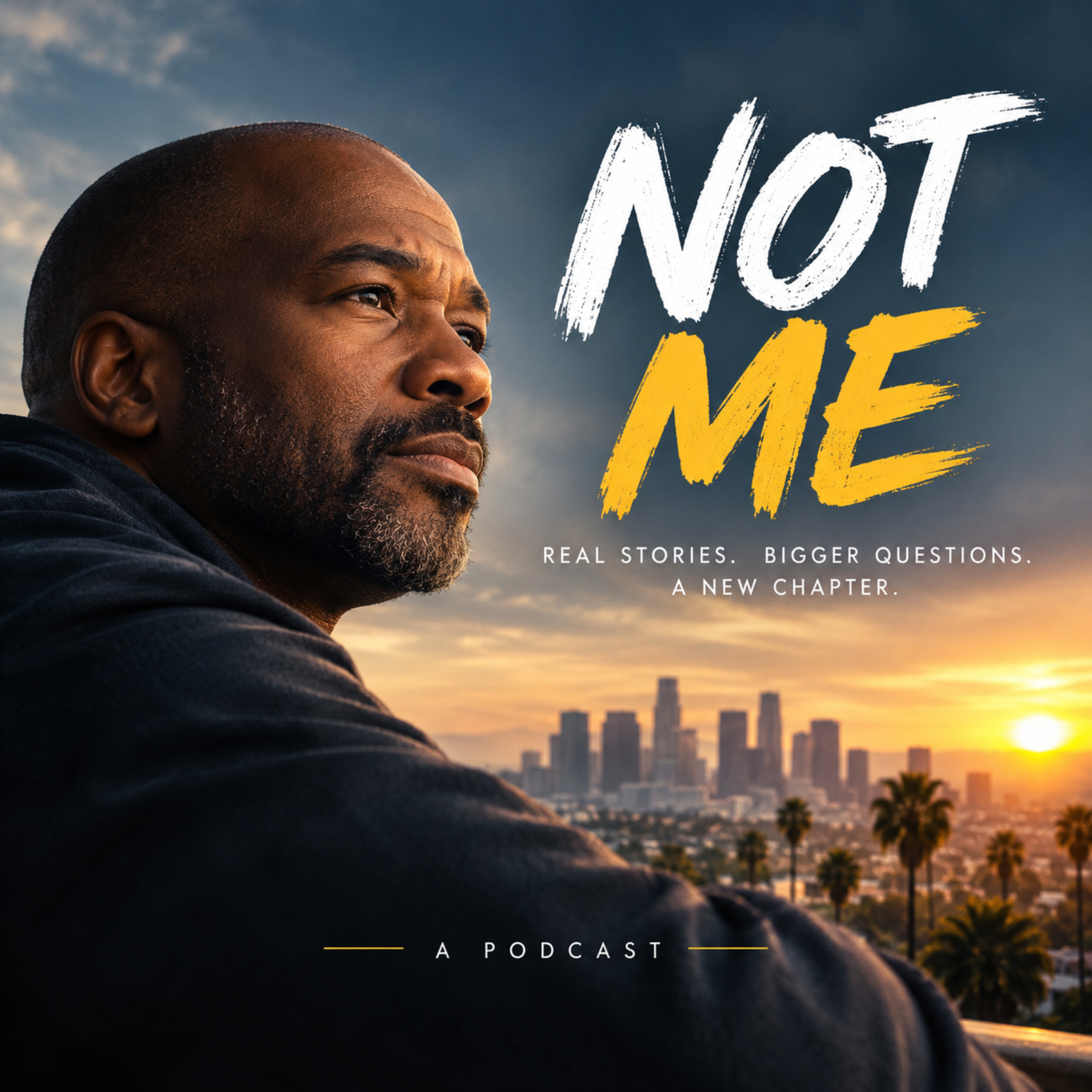 Not Me podcast artwork