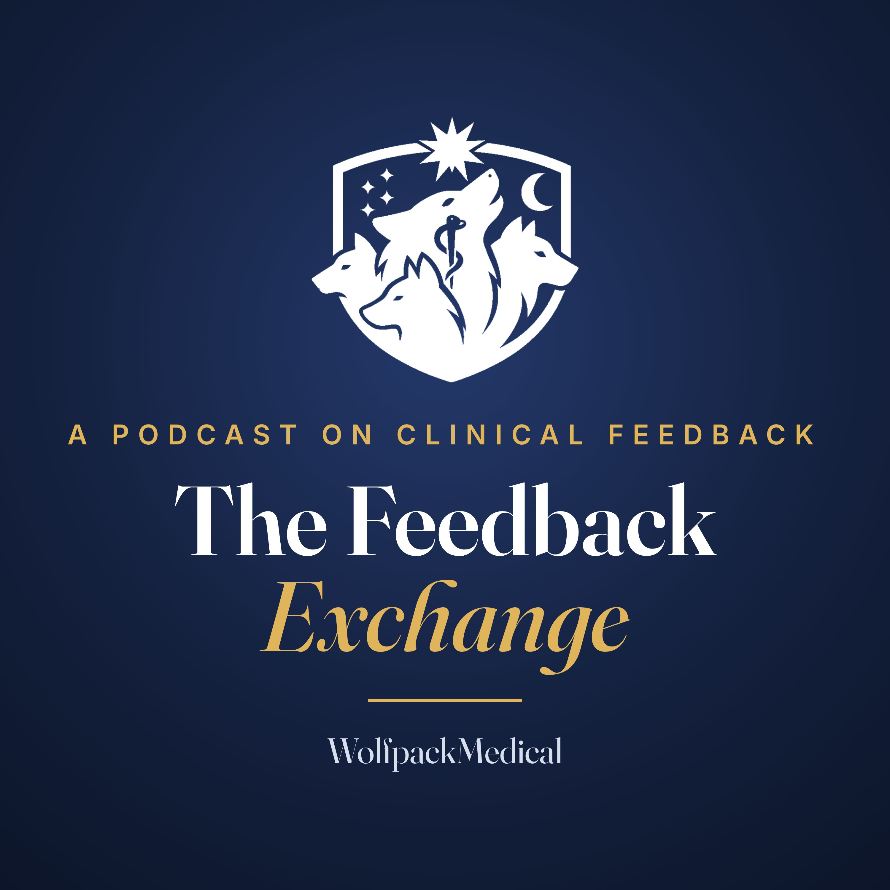 The Feedback Exchange podcast artwork