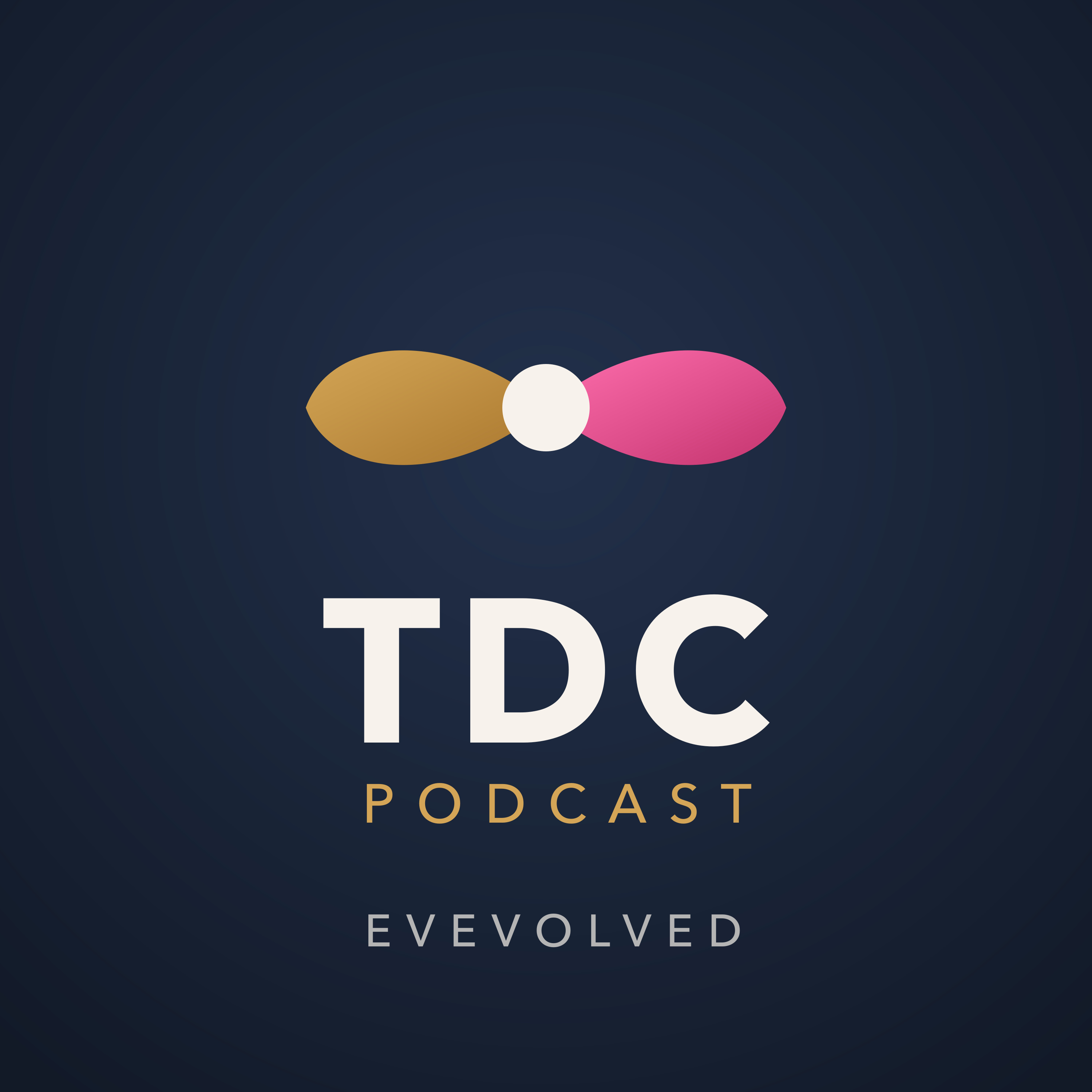 The Digital Carpenter podcast artwork