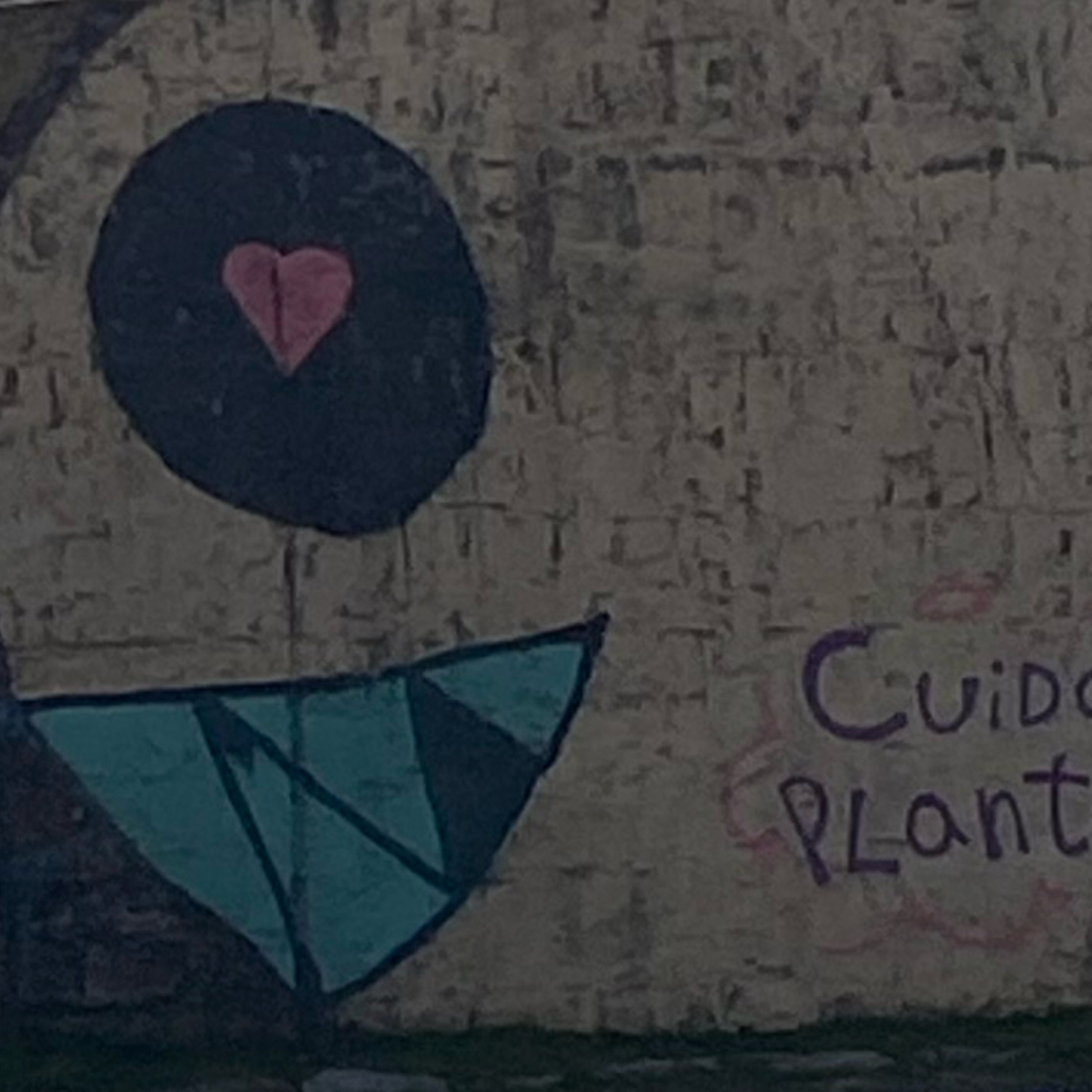 Portada de Hasta que choque el Hueso - Crónicas Anorexicas