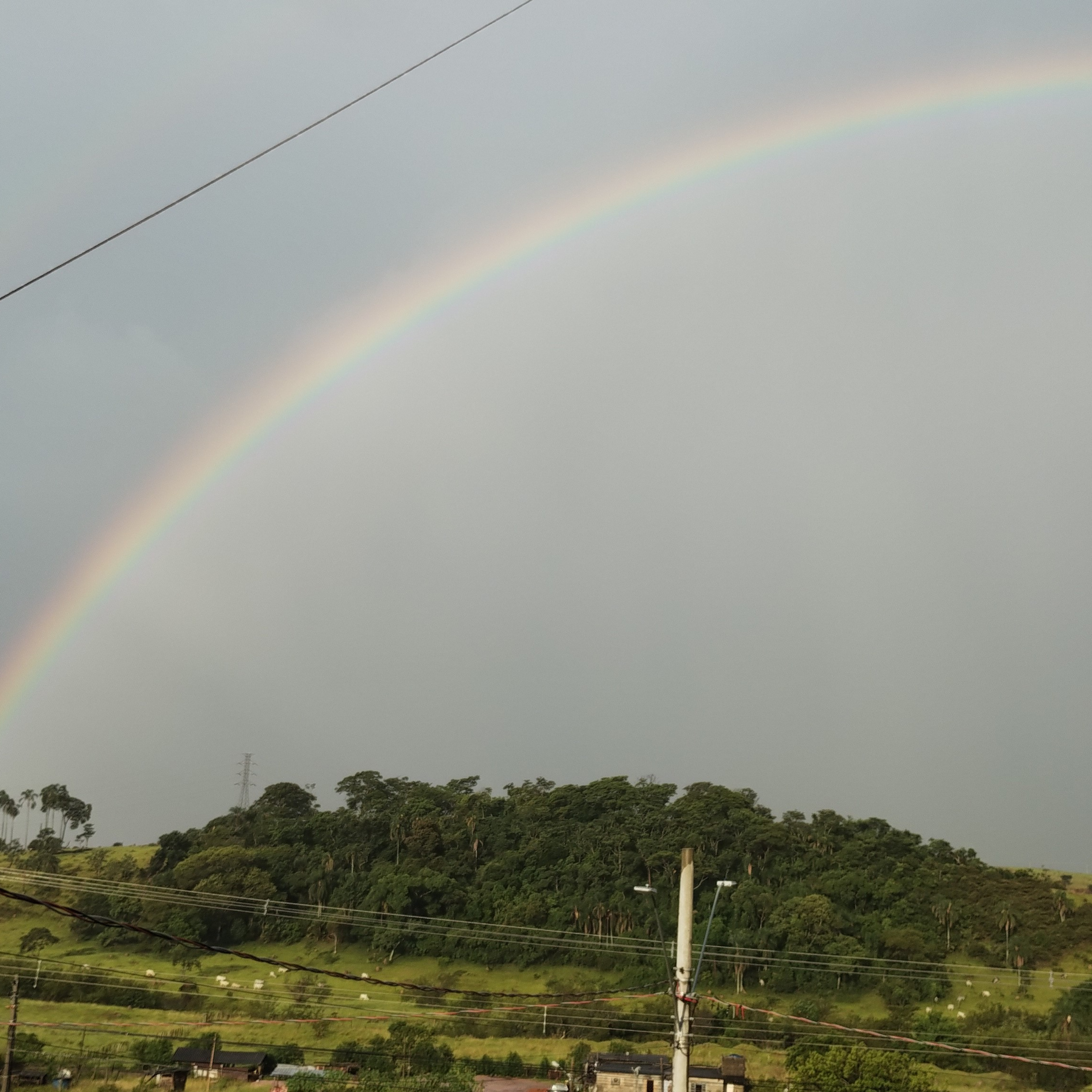 Como lançar fora suas ansiedades...