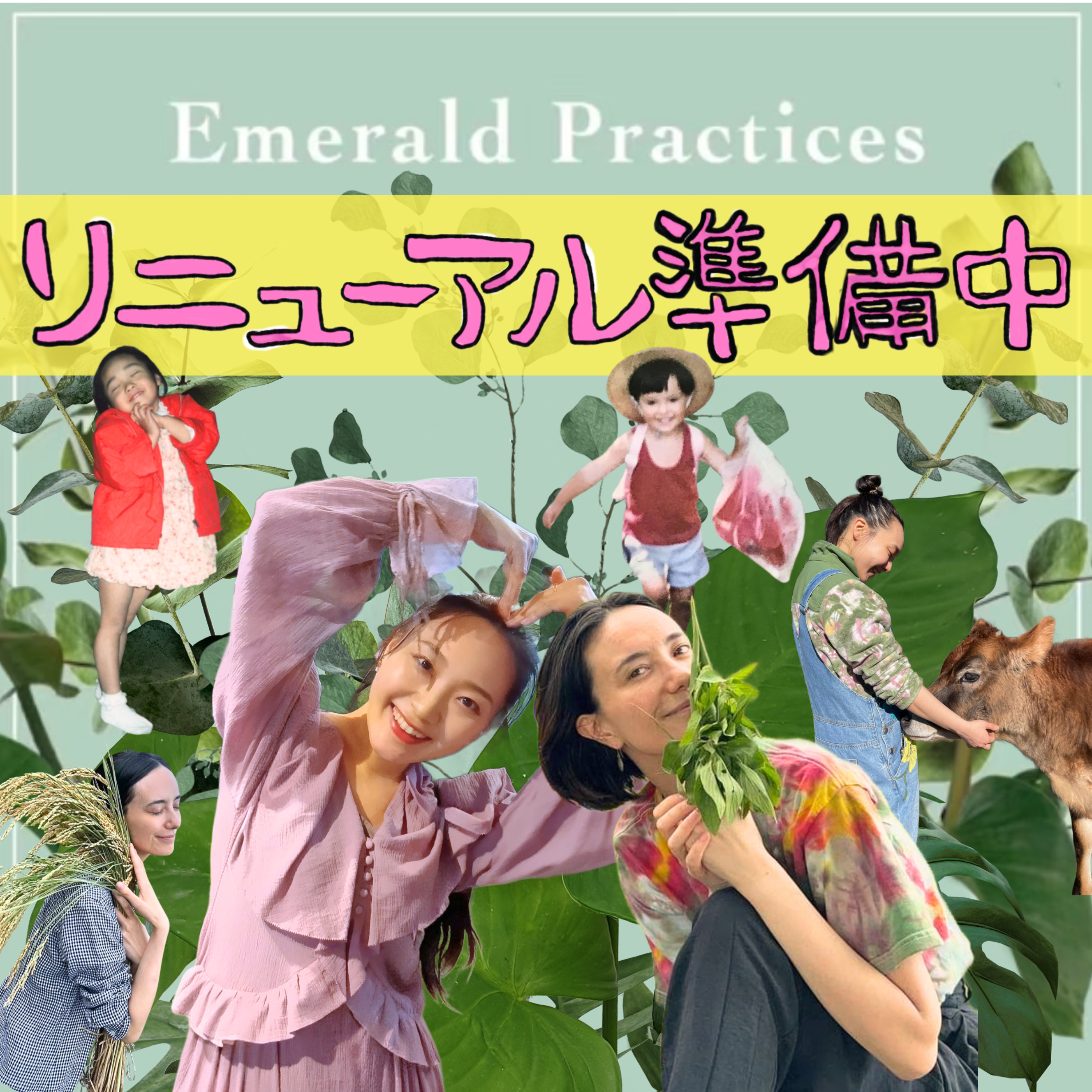 Emerald Practices–エメラルド プラクティシズ