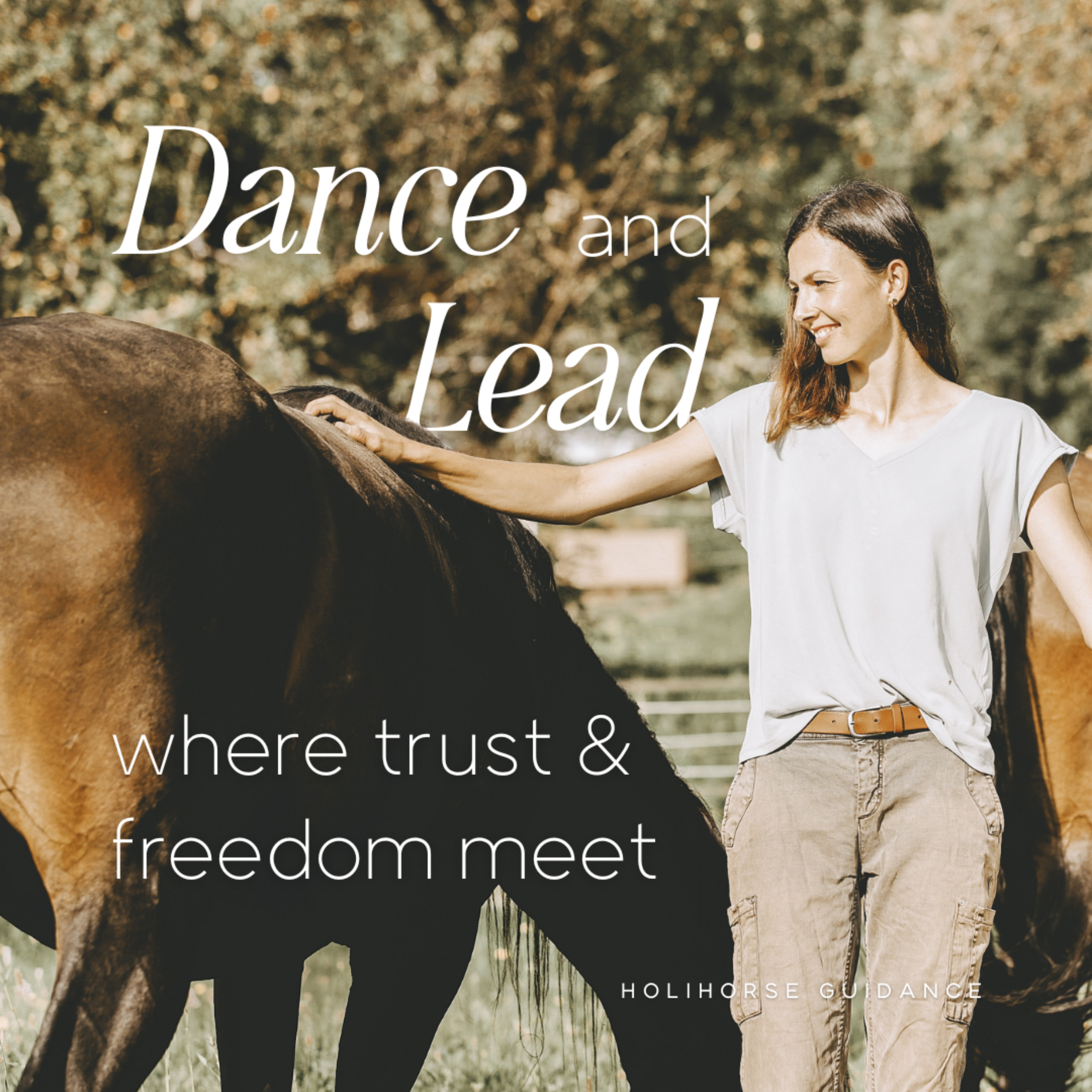 HoliHorse Guidance - Wege voller Ausdruck und Lebendigkeit