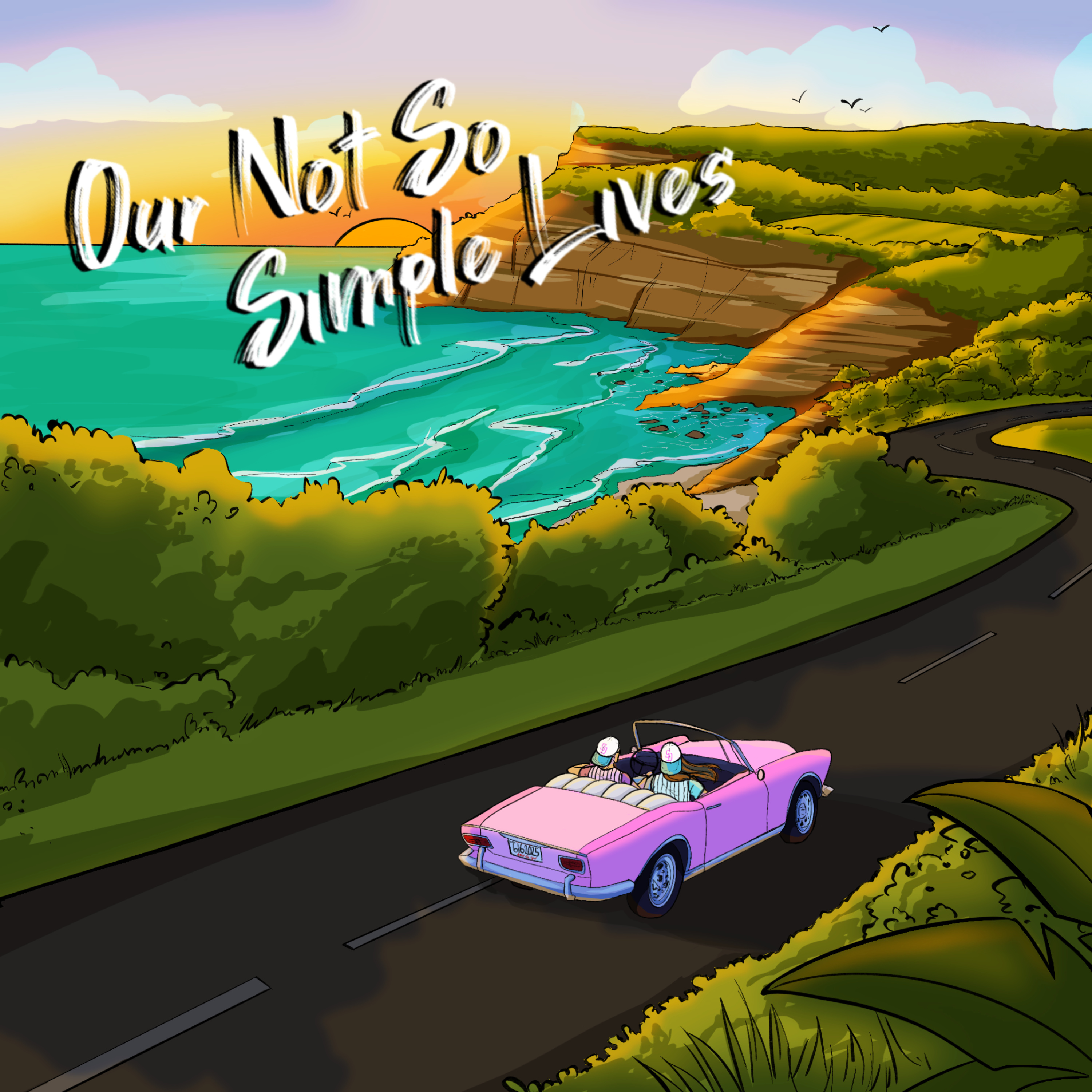 Our Not So Simple Life