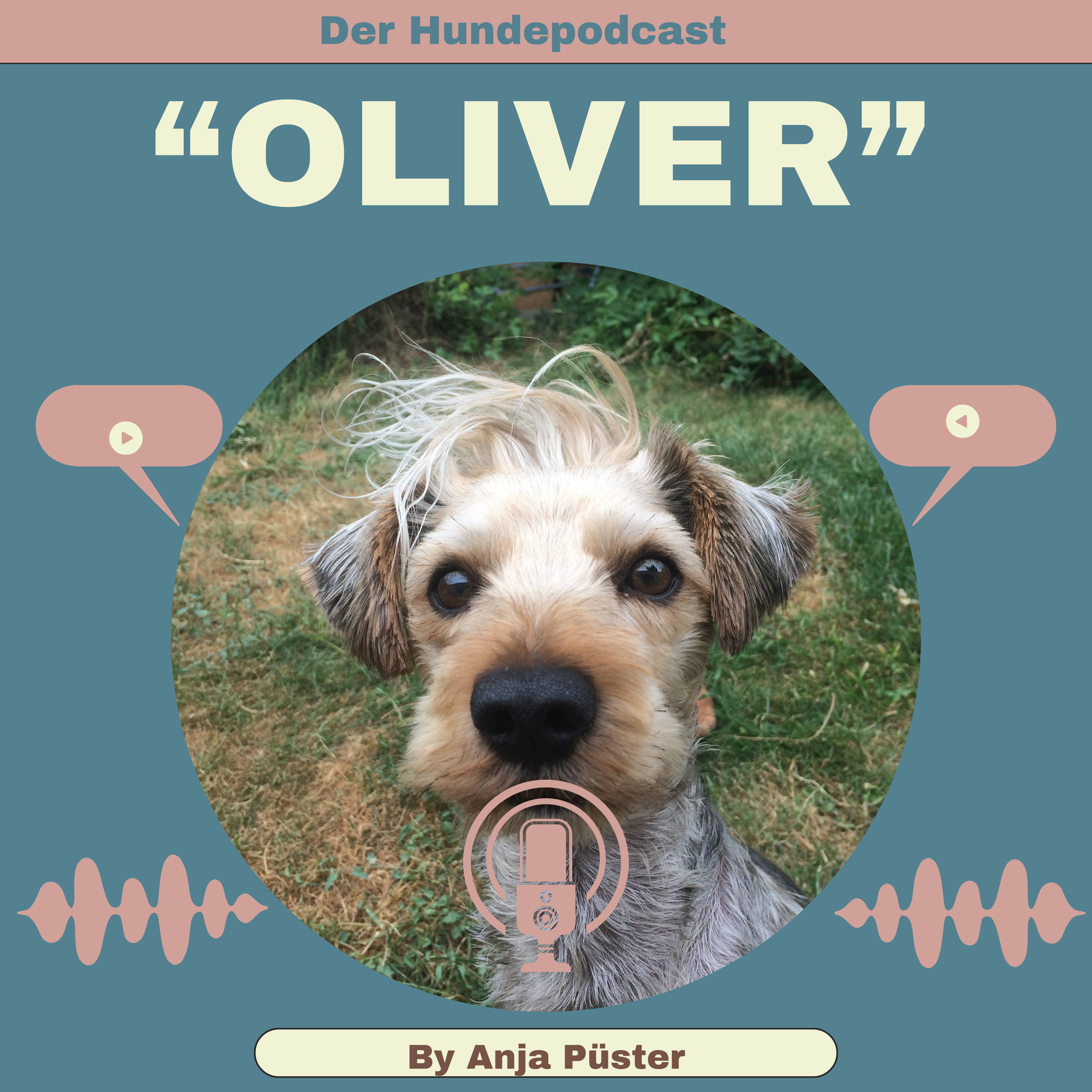 Oliver – der Hundepodcast: Beziehung statt Erziehung