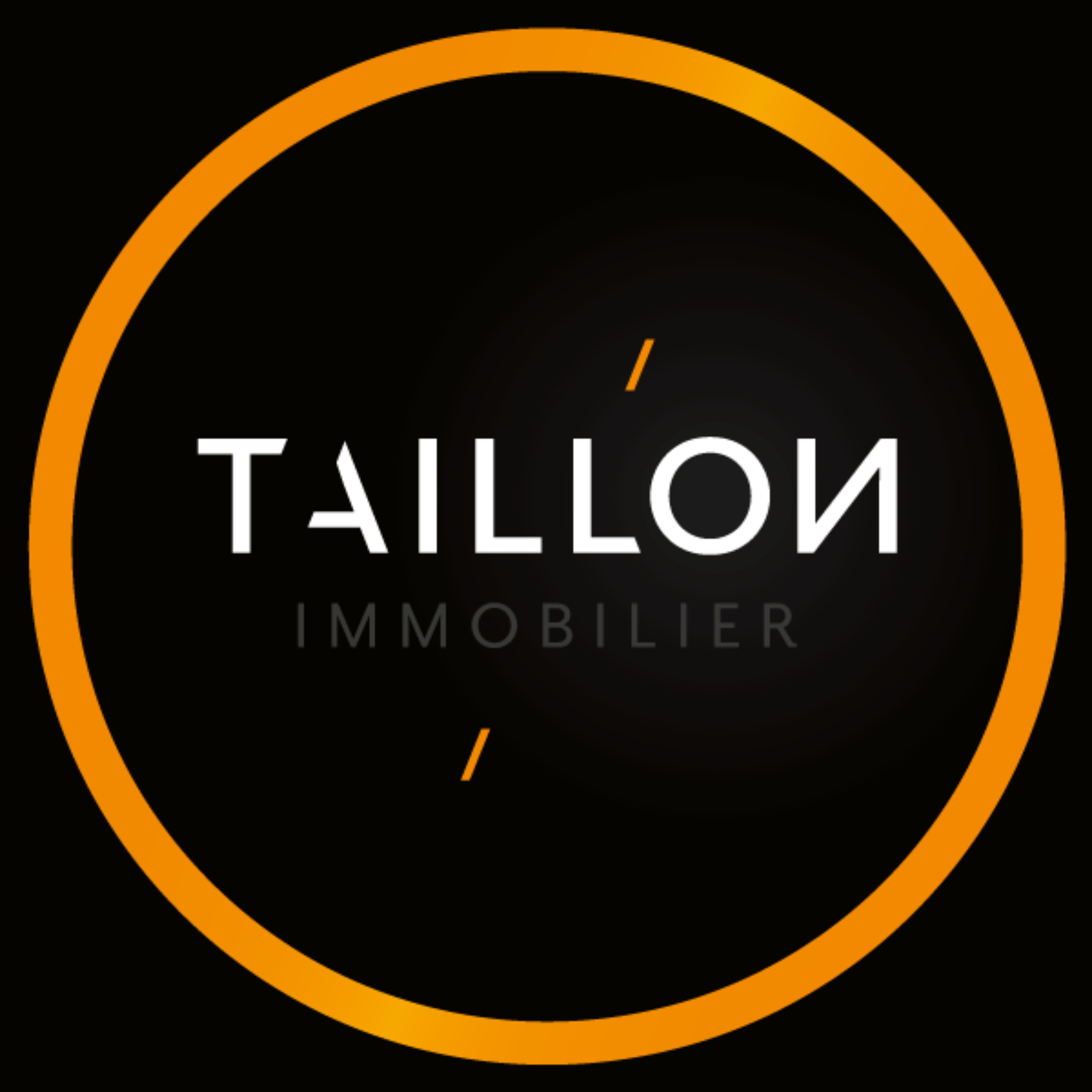 Taillon immobilier