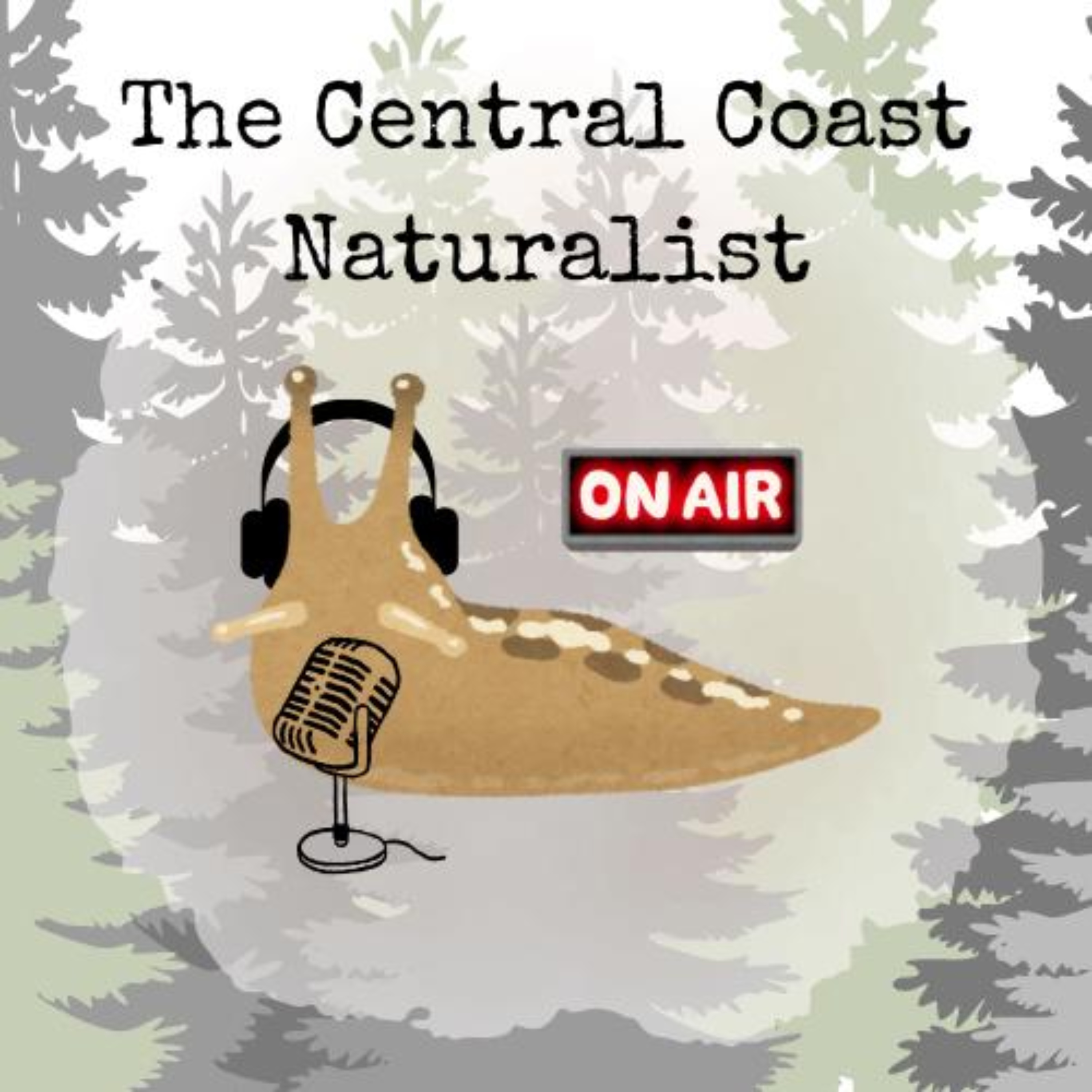 Forest health and wildfires