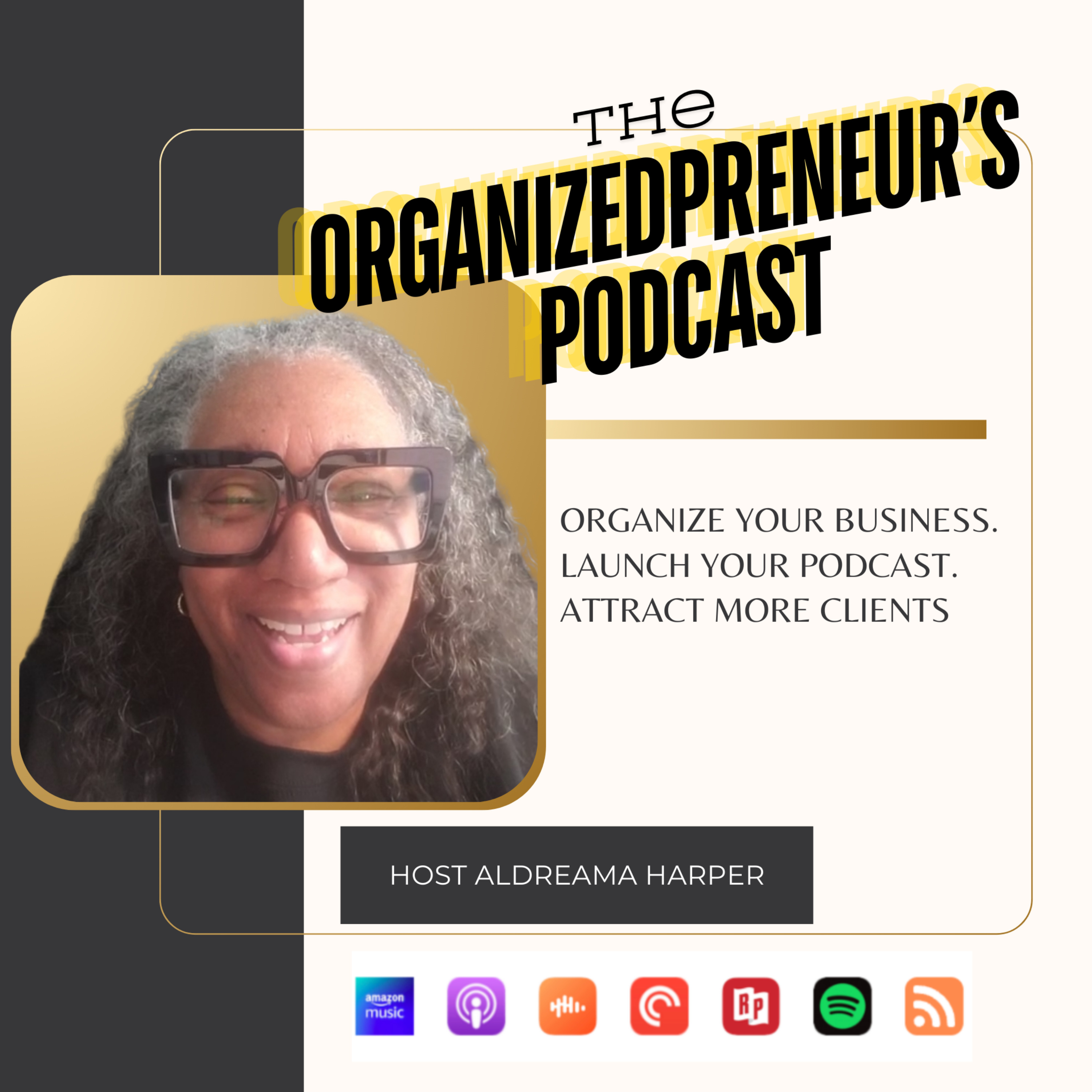 The OrganizedPreneur\'s Podcast