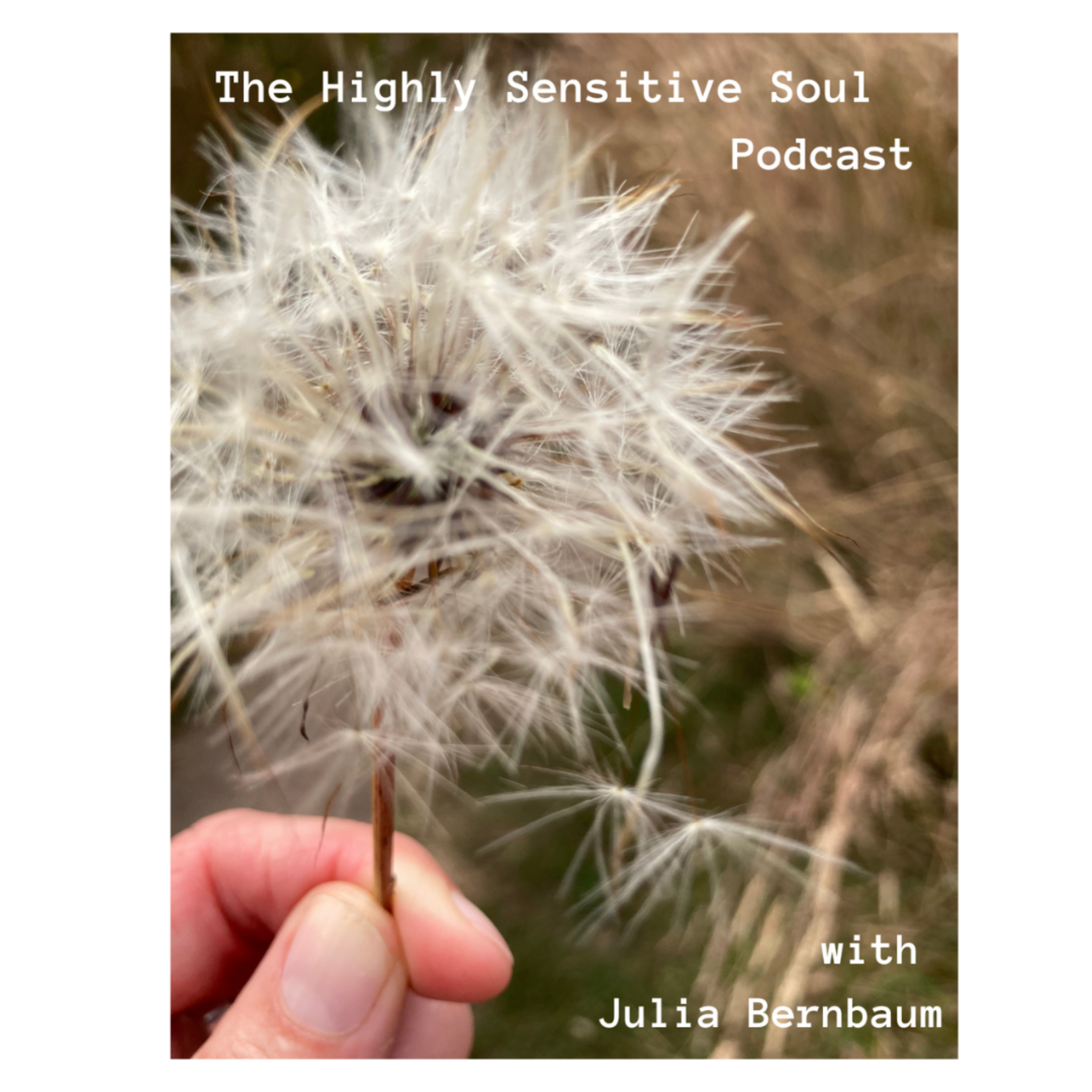 The Highly Sensitive Soul Podcast