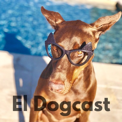 Introducción a la segunda temporada