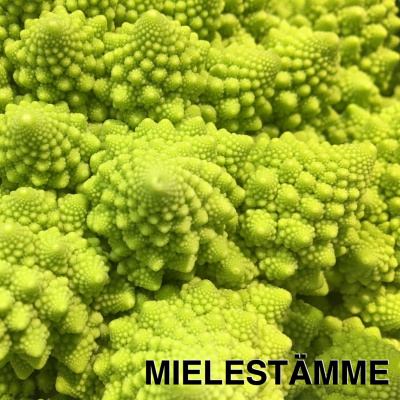 12. Koulukiusaamisen vähentäminen (Christina Salmivalli) 12. Koulukiusaamisen vähentäminen (Christina Salmivalli)