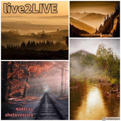 live2LIVE