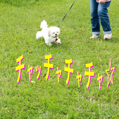 チャチャチャ大恋愛相談会 vol.２