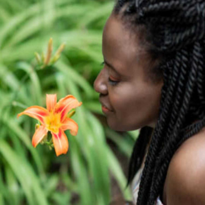 Which came first - Learning and Mistakes Which came first - Learning and Mistakes