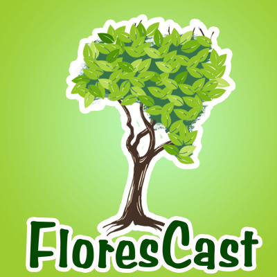 Notícias Florestais - 04/10/2021