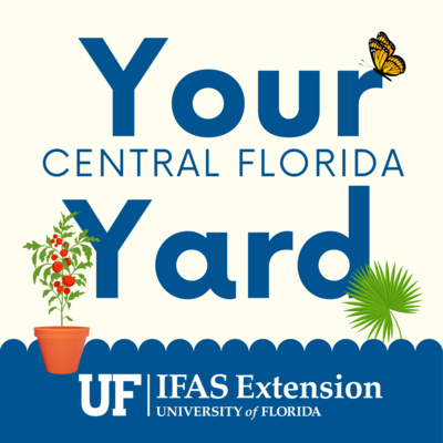 Ifas Florida Best Month to Plant Trees: Ultimate Guide for Success