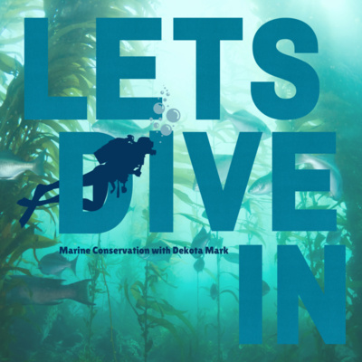 Let's Dive In - Marine Conversations • A podcast on Spotify for Podcasters